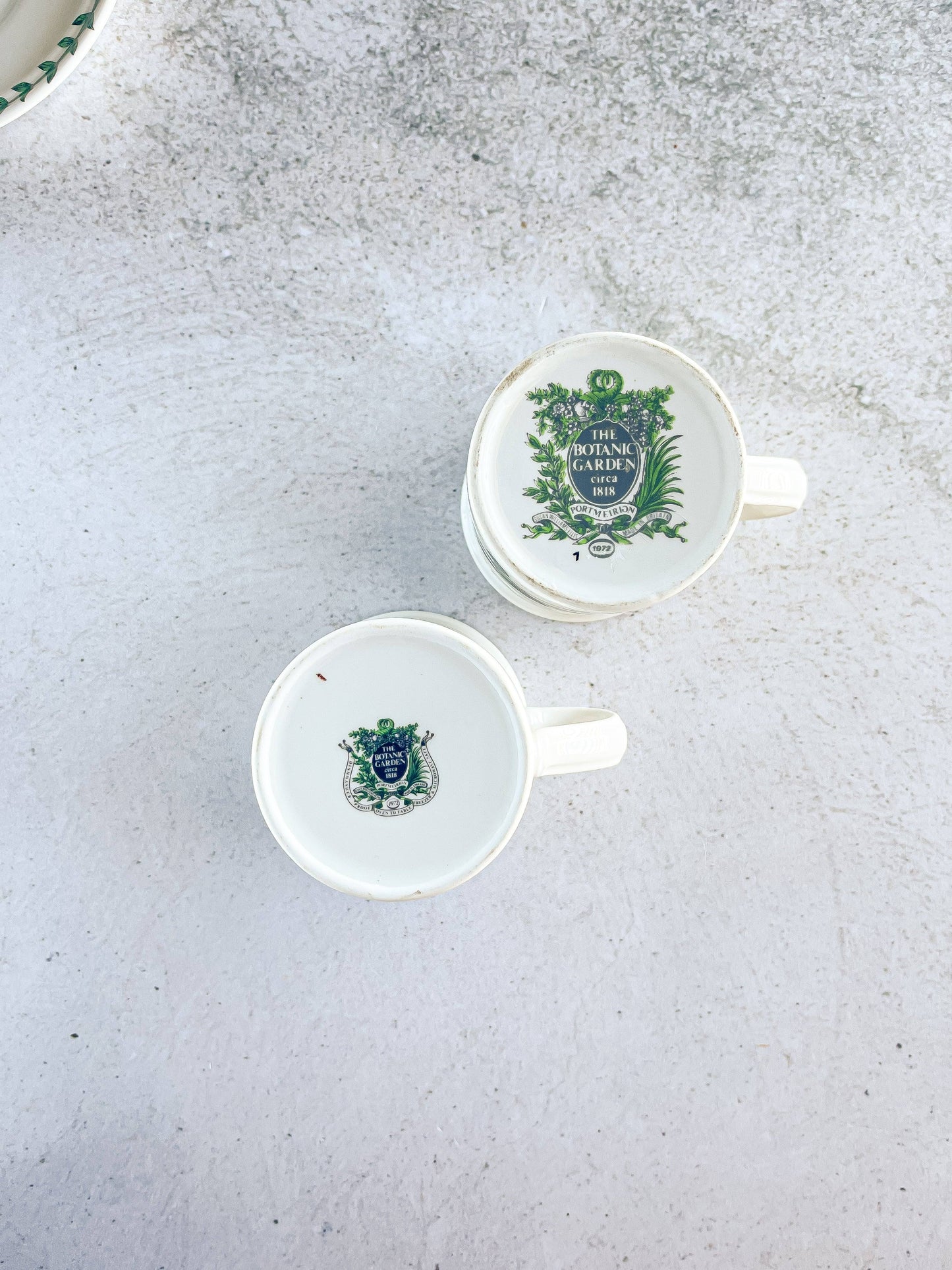 Portmeirion Botanic Garden 150ml Flat Demitasse Cup & Saucer Set - ‘Speedwell’ Design - SOSC Home