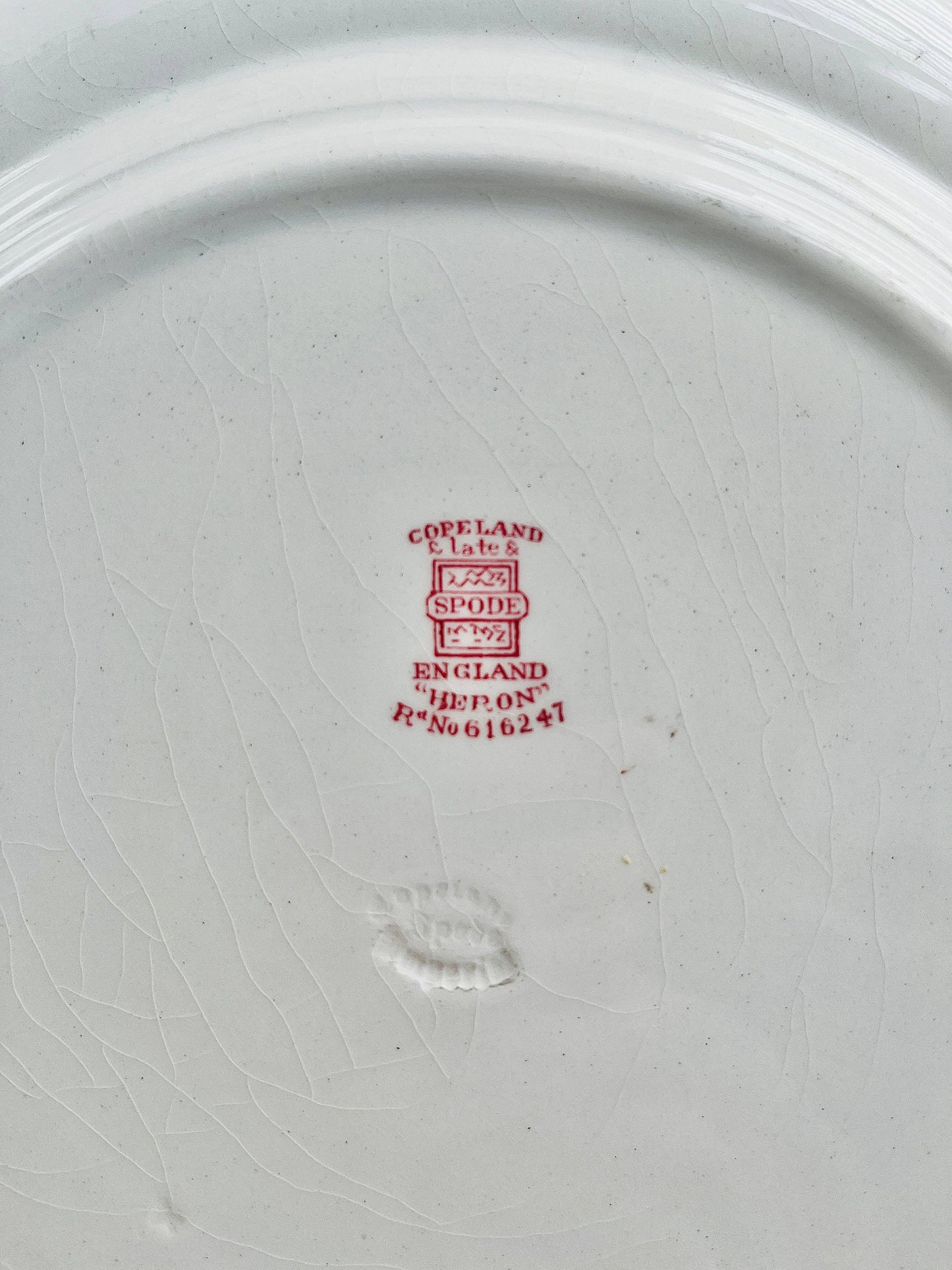 Spode Dinner Plate with Scalloped Edge - Heron - SOSC Home