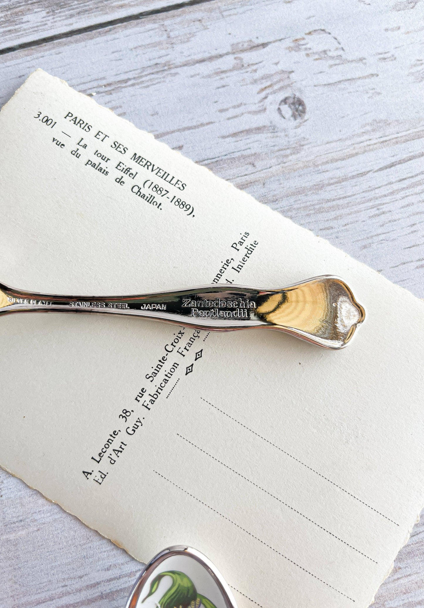 The South African Treasury Floral Teaspoons Set of 6 - Unboxed, Silver-Plated Stainless Steel - SOSC Home