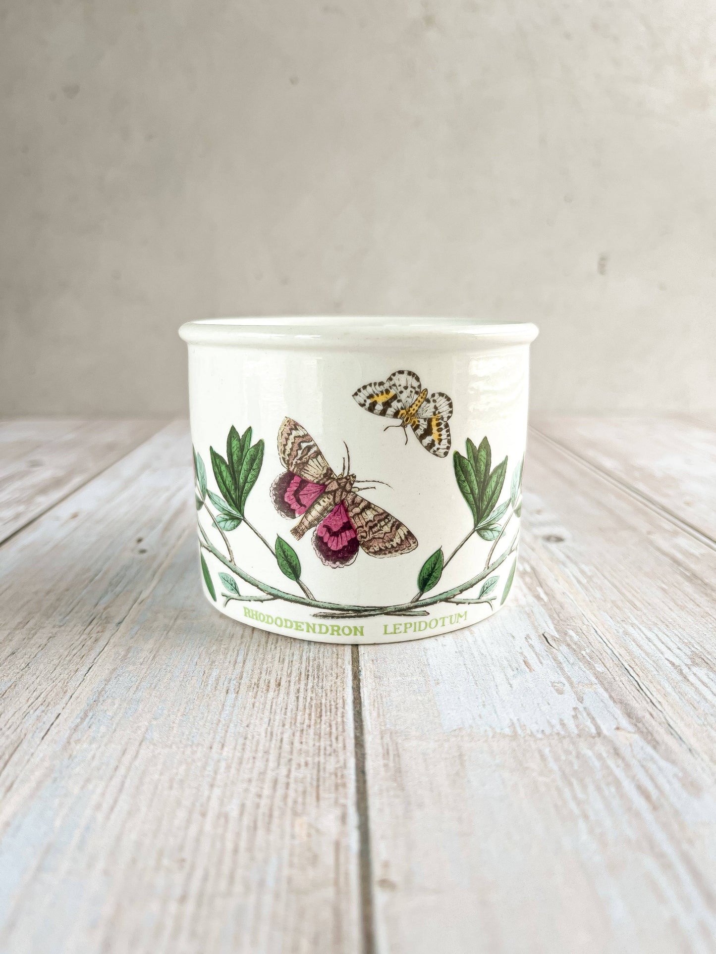 Portmeirion Botanic Garden Flat Drum Cup - 'Rhododendron Lepidote' Design - SOSC Home