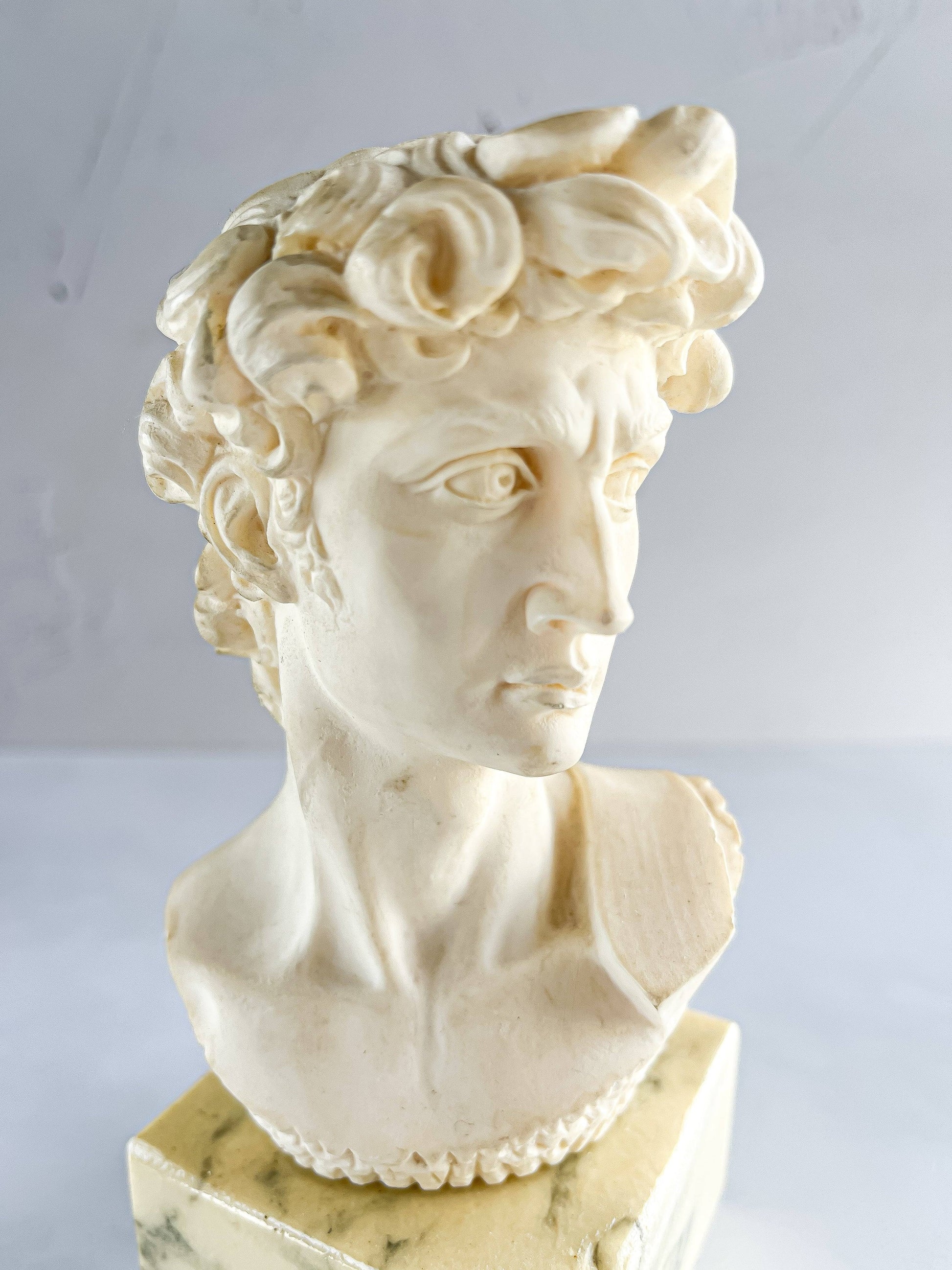 Bust of Michelangelo’s David on Faux Marble Base - SOSC Home