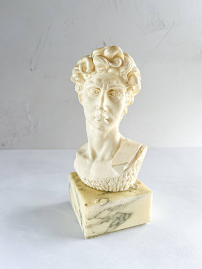 Bust of Michelangelo’s David on Faux Marble Base - SOSC Home