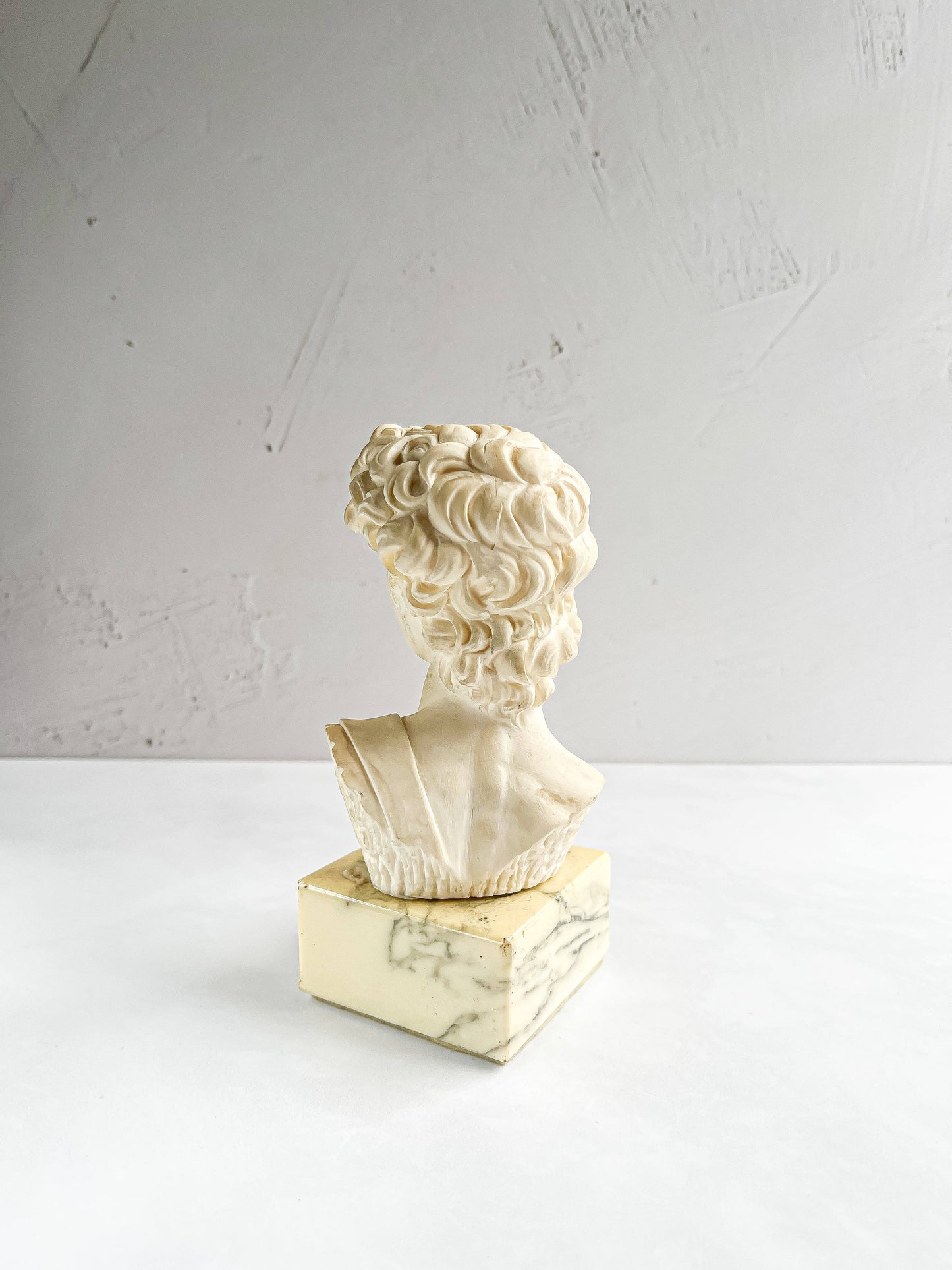 Bust of Michelangelo’s David on Faux Marble Base - SOSC Home