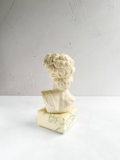 Bust of Michelangelo’s David on Faux Marble Base - SOSC Home