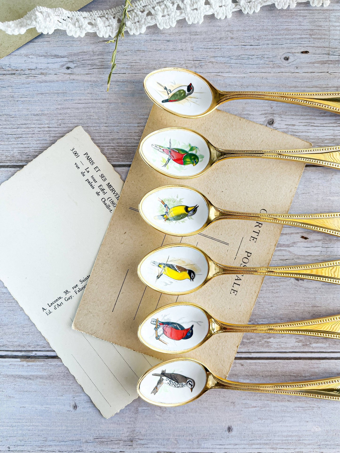 South African Birds Set of 6 Gold-Plated Teaspoons - Collection 1 - SOSC Home