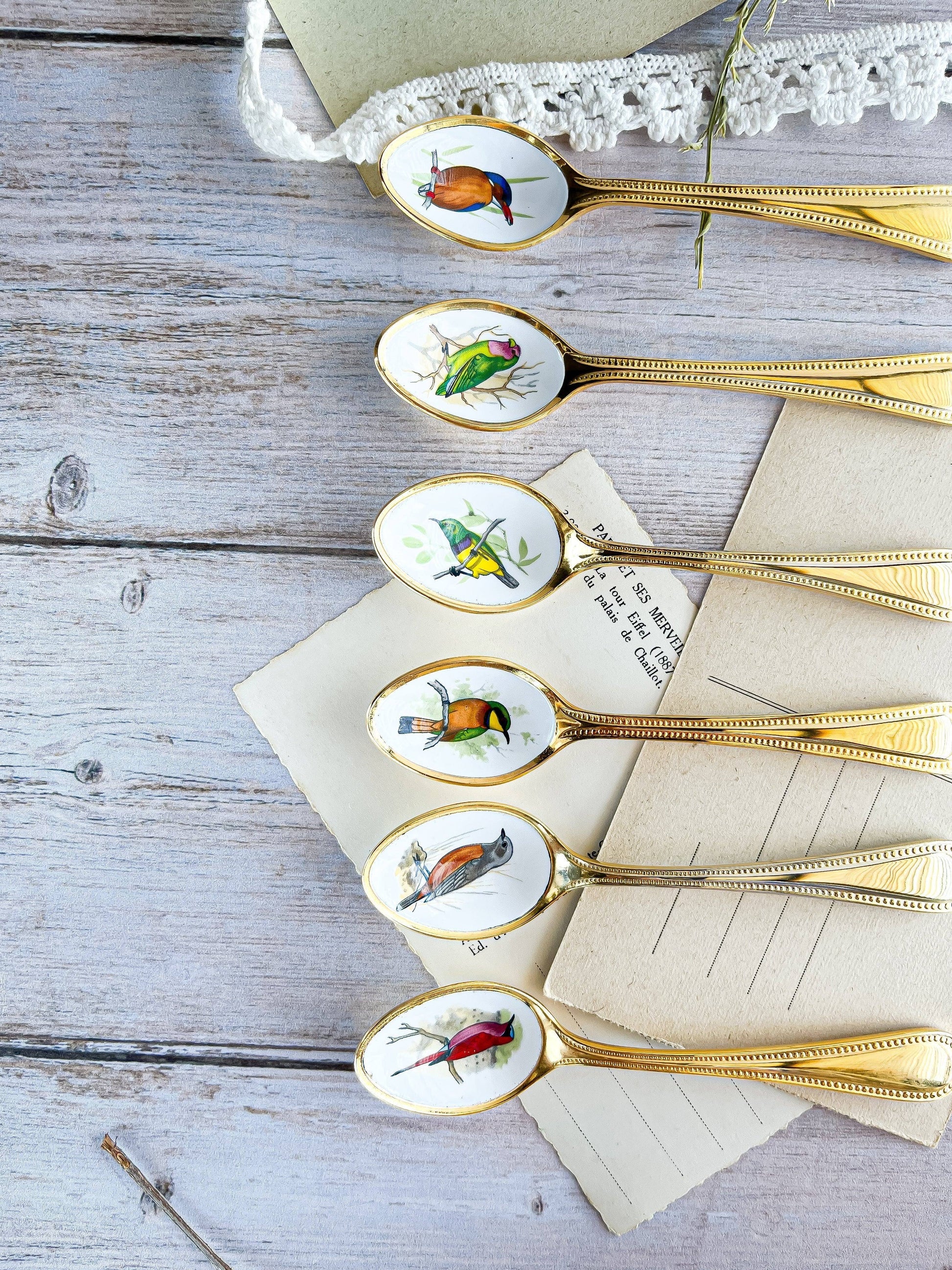 South African Birds Set of 6 Gold-Plated Teaspoons - Collection 2 - SOSC Home