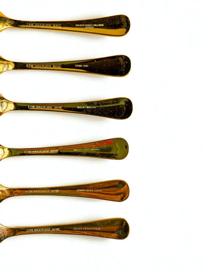 South African Birds Set of 6 Gold-Plated Teaspoons | Collection 4 - SOSC Home