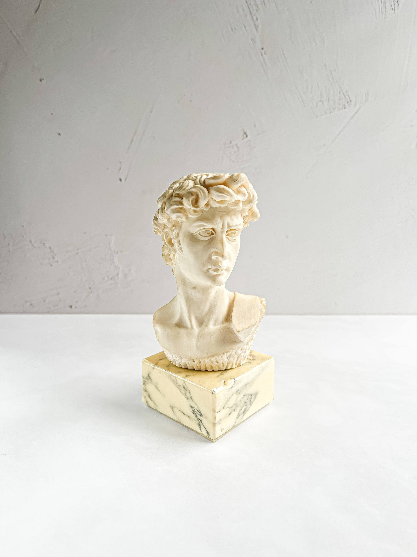 Bust of Michelangelo’s David on Faux Marble Base - SOSC Home