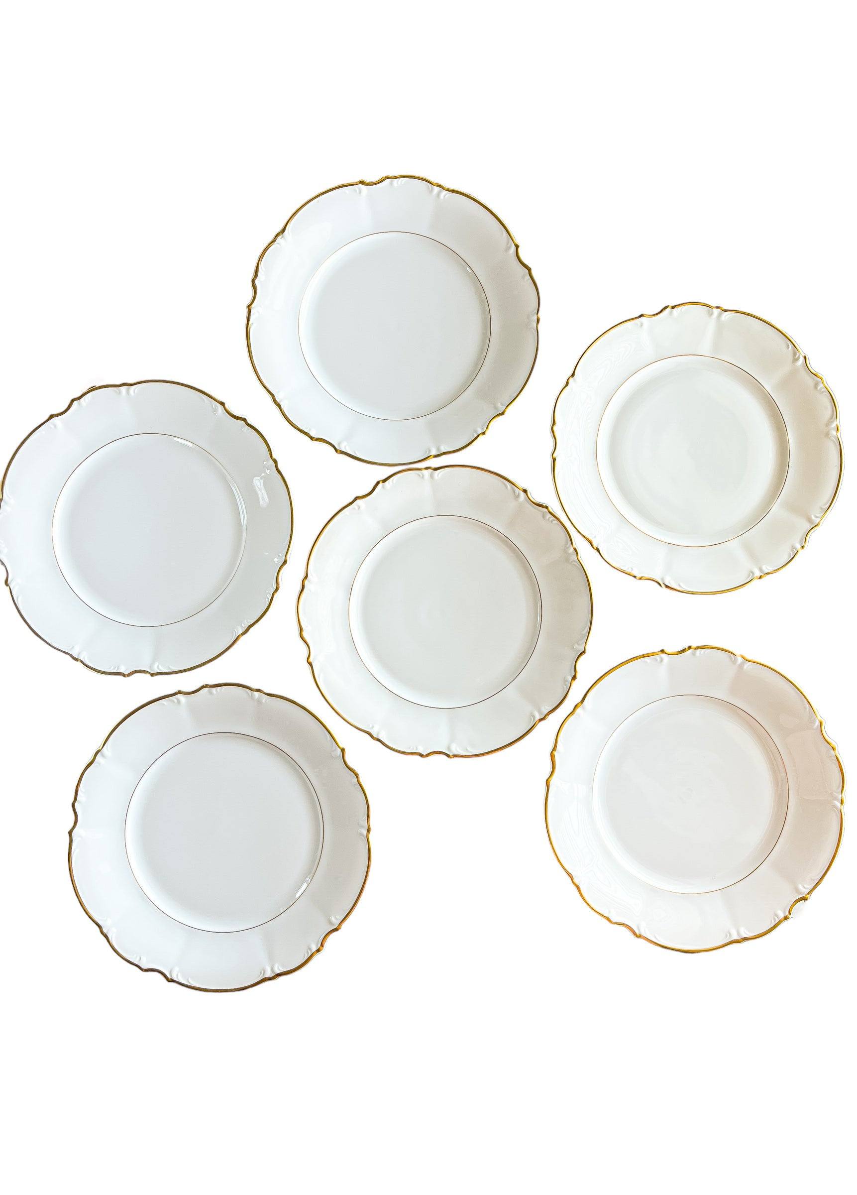 Hutschenreuther Set of 6 Dinner Plates - 'Brighton' Collection