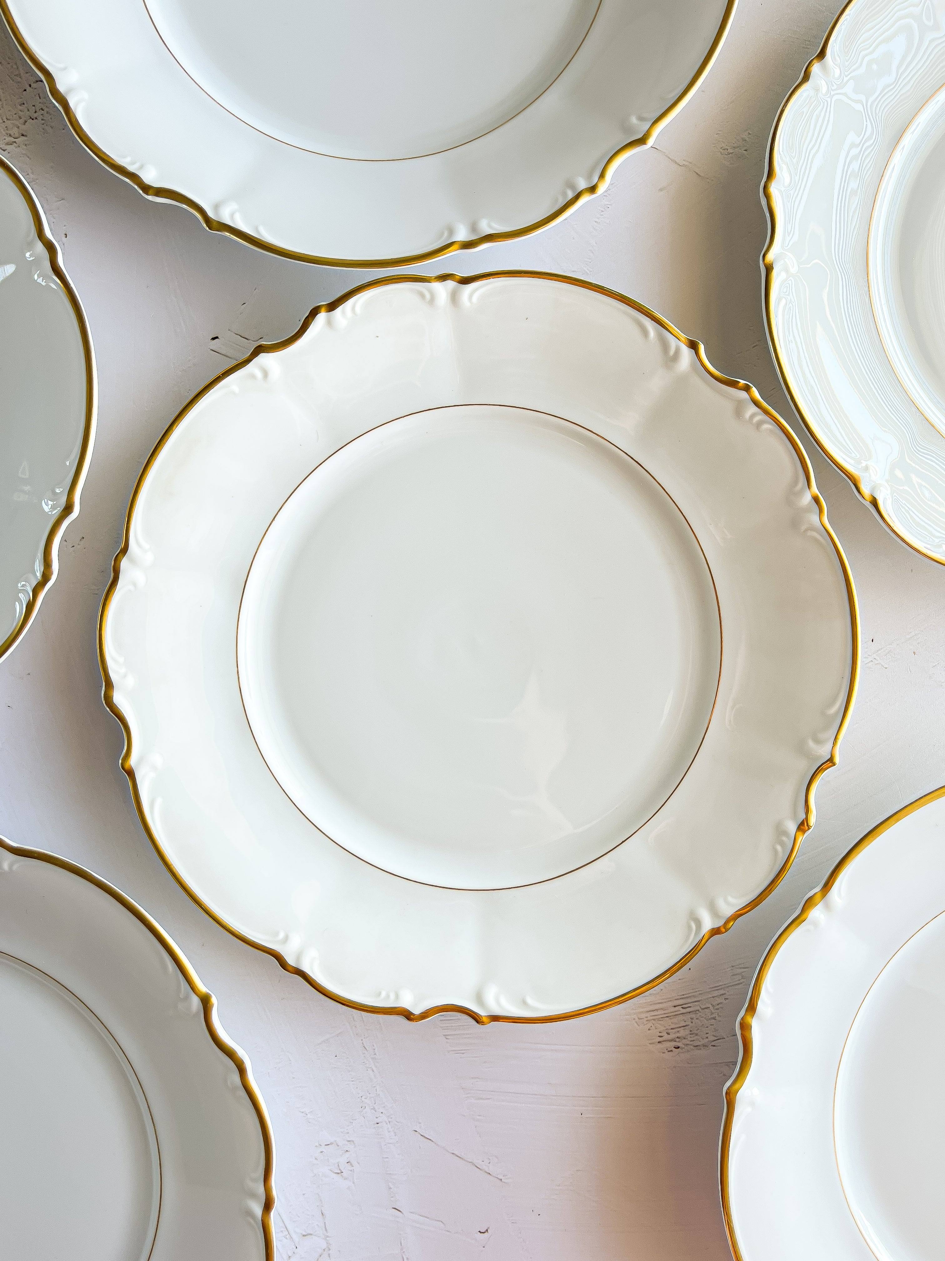 Hutschenreuther Set of 6 Dinner Plates - 'Brighton' Collection