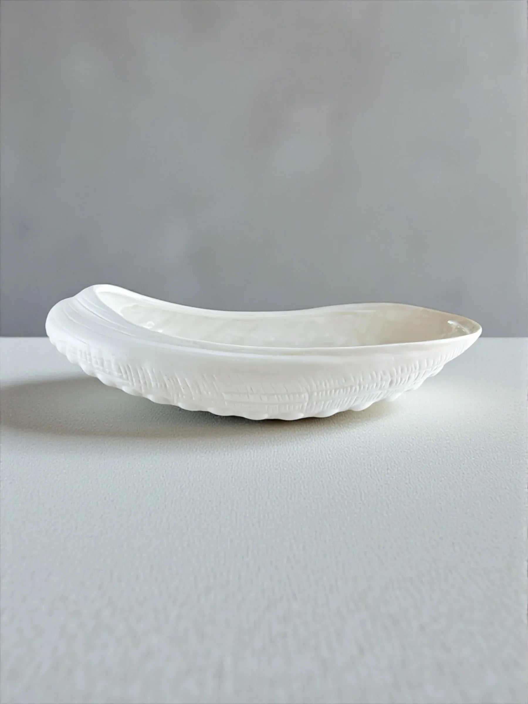 White ceramic shell-shaped decorative bowl with textured design on white surface