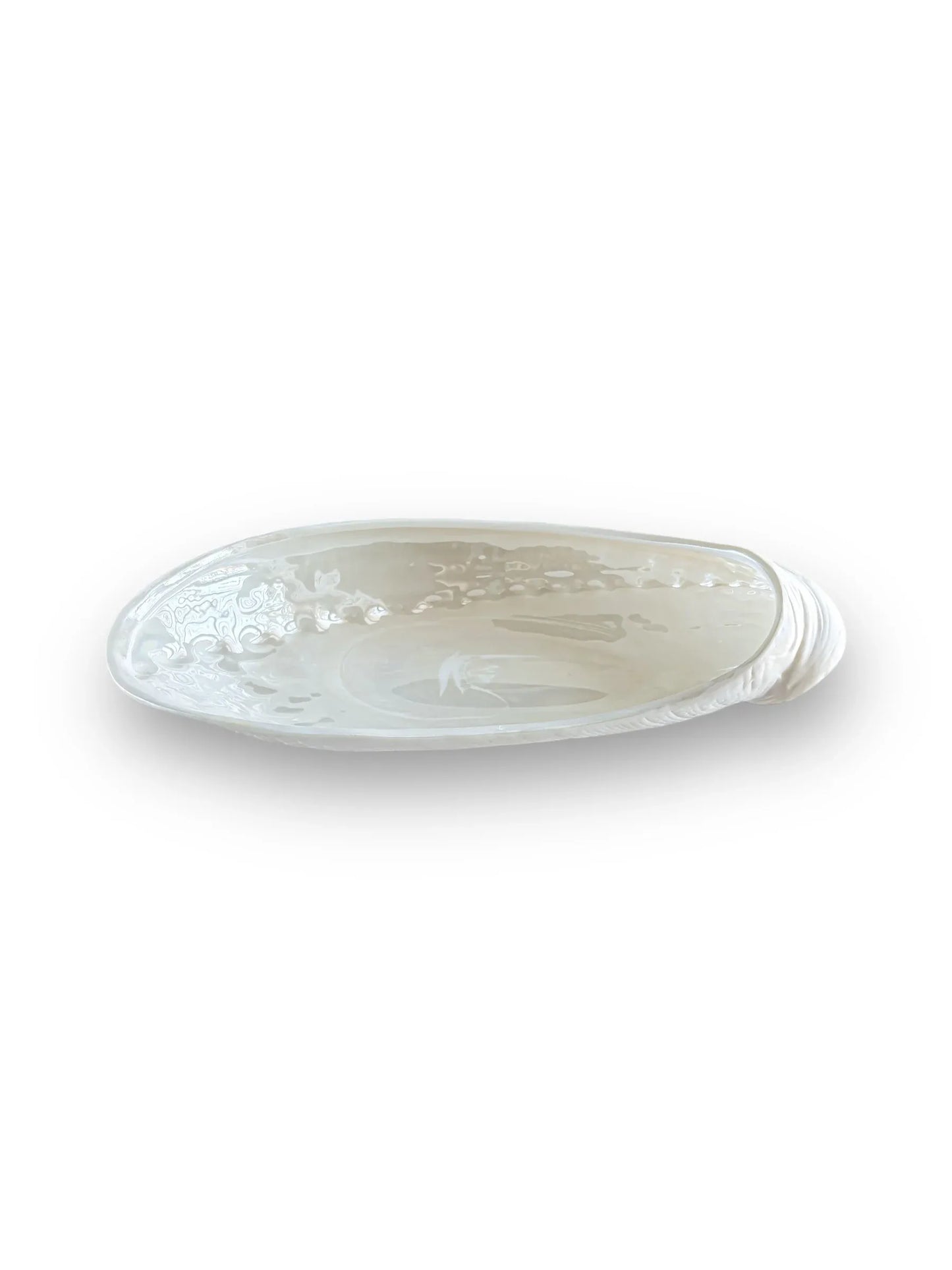 White decorative ceramic shell-shaped plate with textured edge on white background
