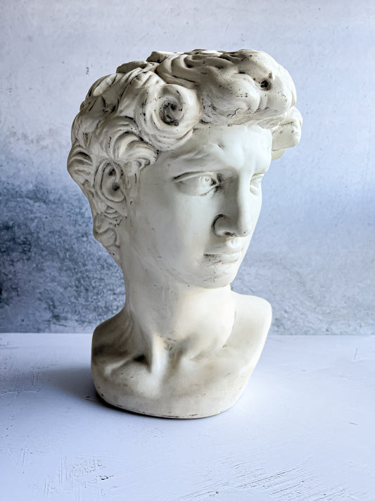 Michelangelo's David Inspired Bust - Renaissance Artistry in Sculpture - SOSC Home