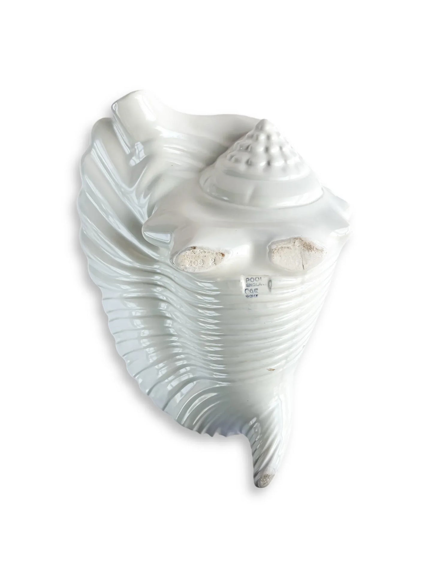 White porcelain conch shell decor piece, vintage tableware collectible on white background
