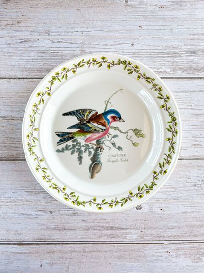 Portmeirion Birds of Britain Bread and Butter Plate - 'Chaffinch' Design (Acorn and Leaf Border) - SOSC Home