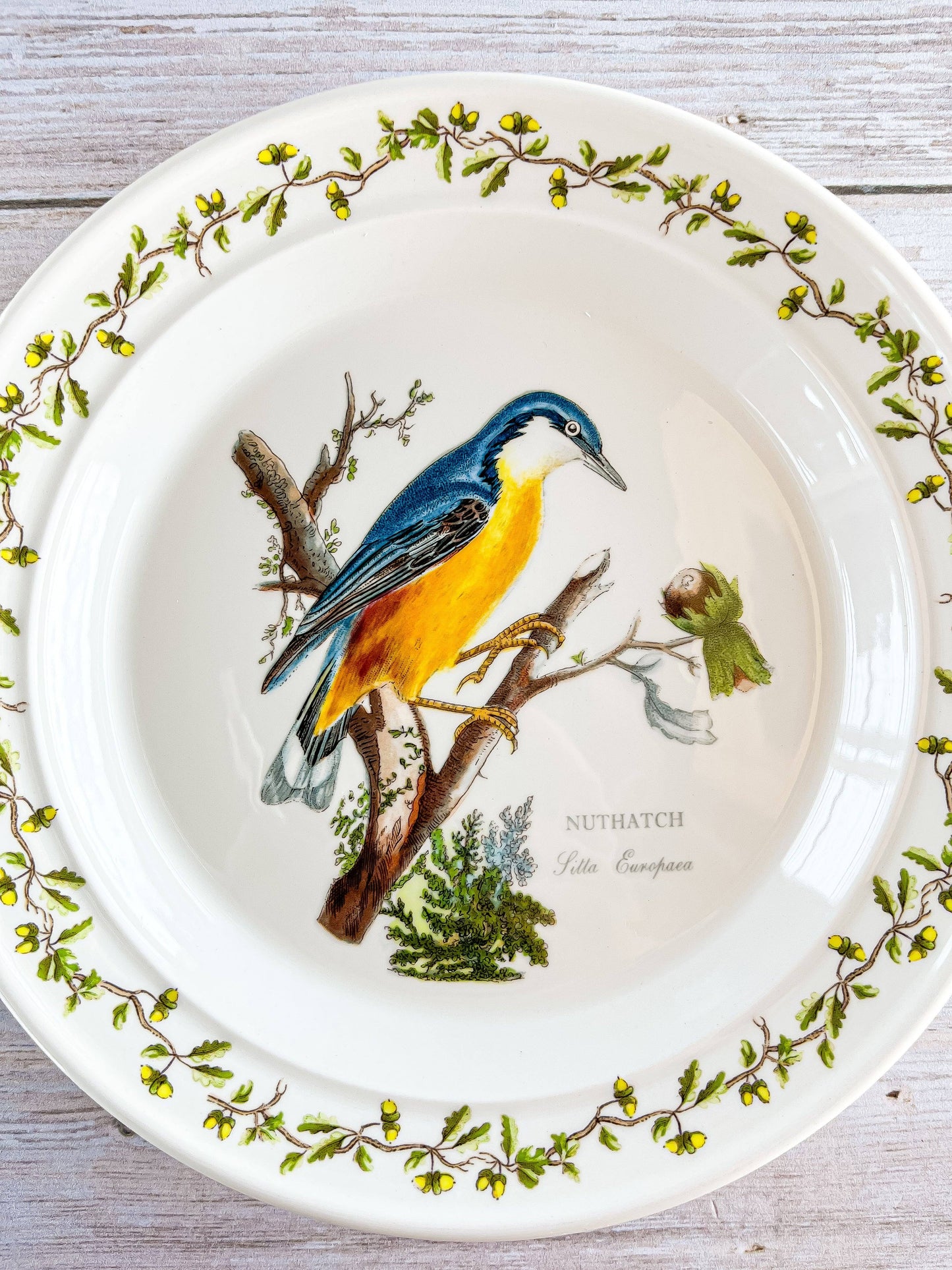 Portmeirion Birds of Britain Bread and Butter Plate - 'Nuthatch' Design (Acorn and Leaf Rim) - SOSC Home