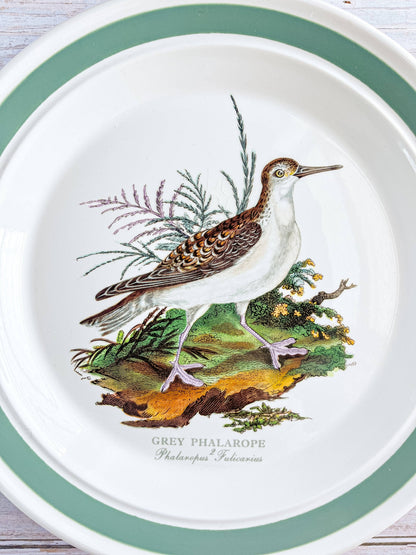 Portmeirion Birds of Britain Dinner Plate – 'Grey Phalarope' (Green Band on Rim) - SOSC Home