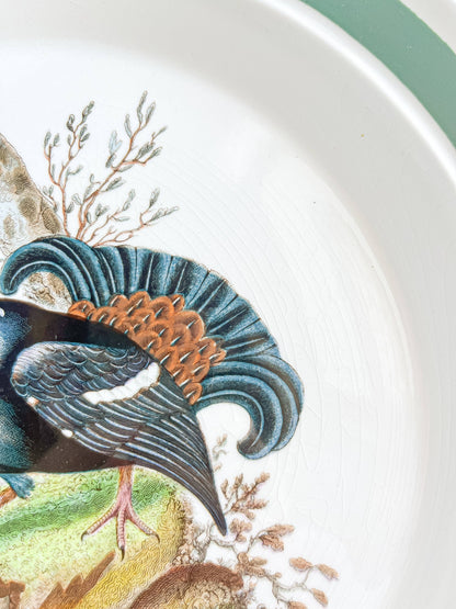 Portmeirion Birds of Britain Dinner Plate – 'Lyrurus Tetrix' Design (Green Band on Rim) - SOSC Home