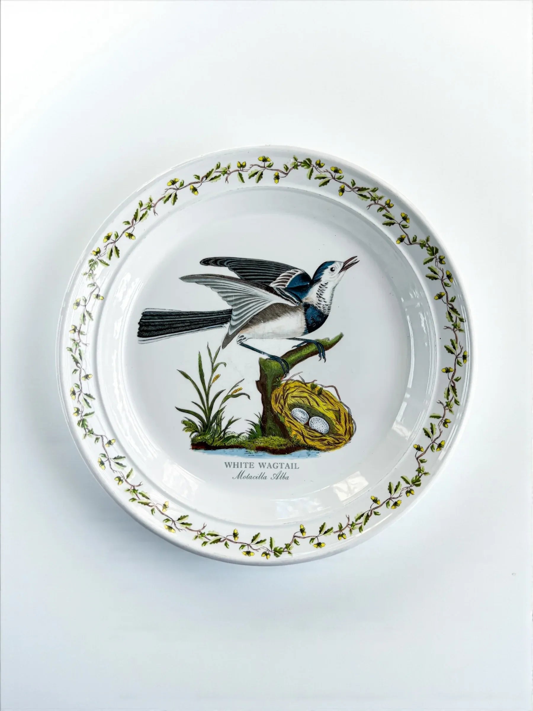 Portmeirion Birds of Britain Salad Plate | 'White Wagtail' Design - SOSC Home