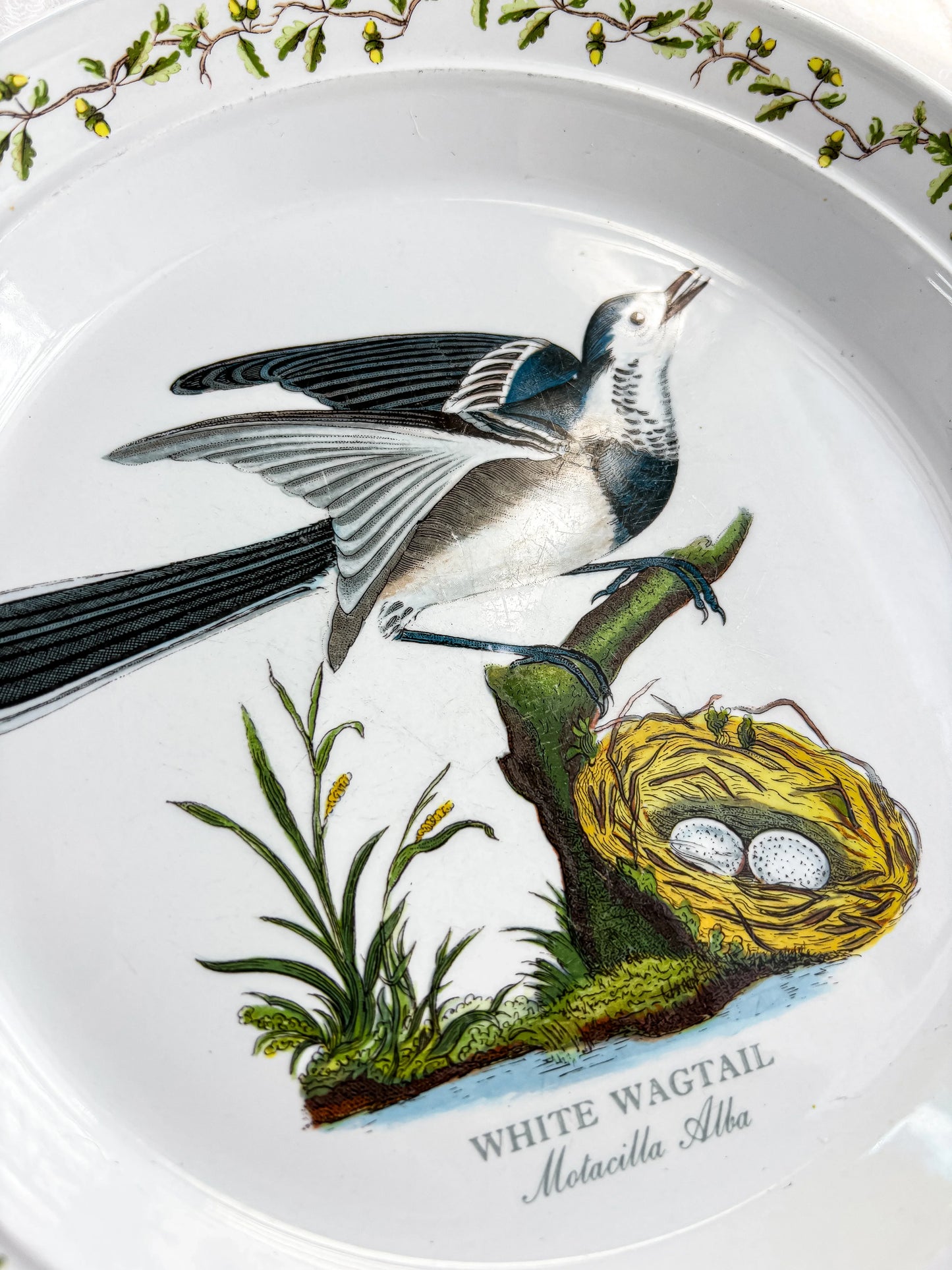 Portmeirion Birds of Britain Salad Plate | 'White Wagtail' Design - SOSC Home