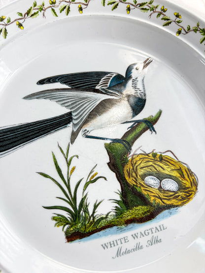 Portmeirion Birds of Britain Salad Plate | 'White Wagtail' Design - SOSC Home