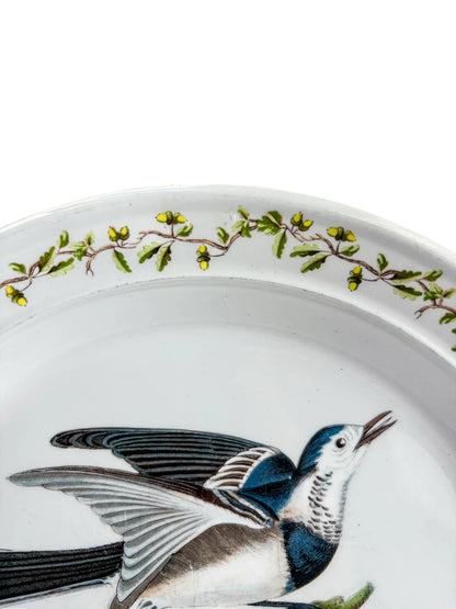 Portmeirion Birds of Britain Salad Plate | 'White Wagtail' Design - SOSC Home