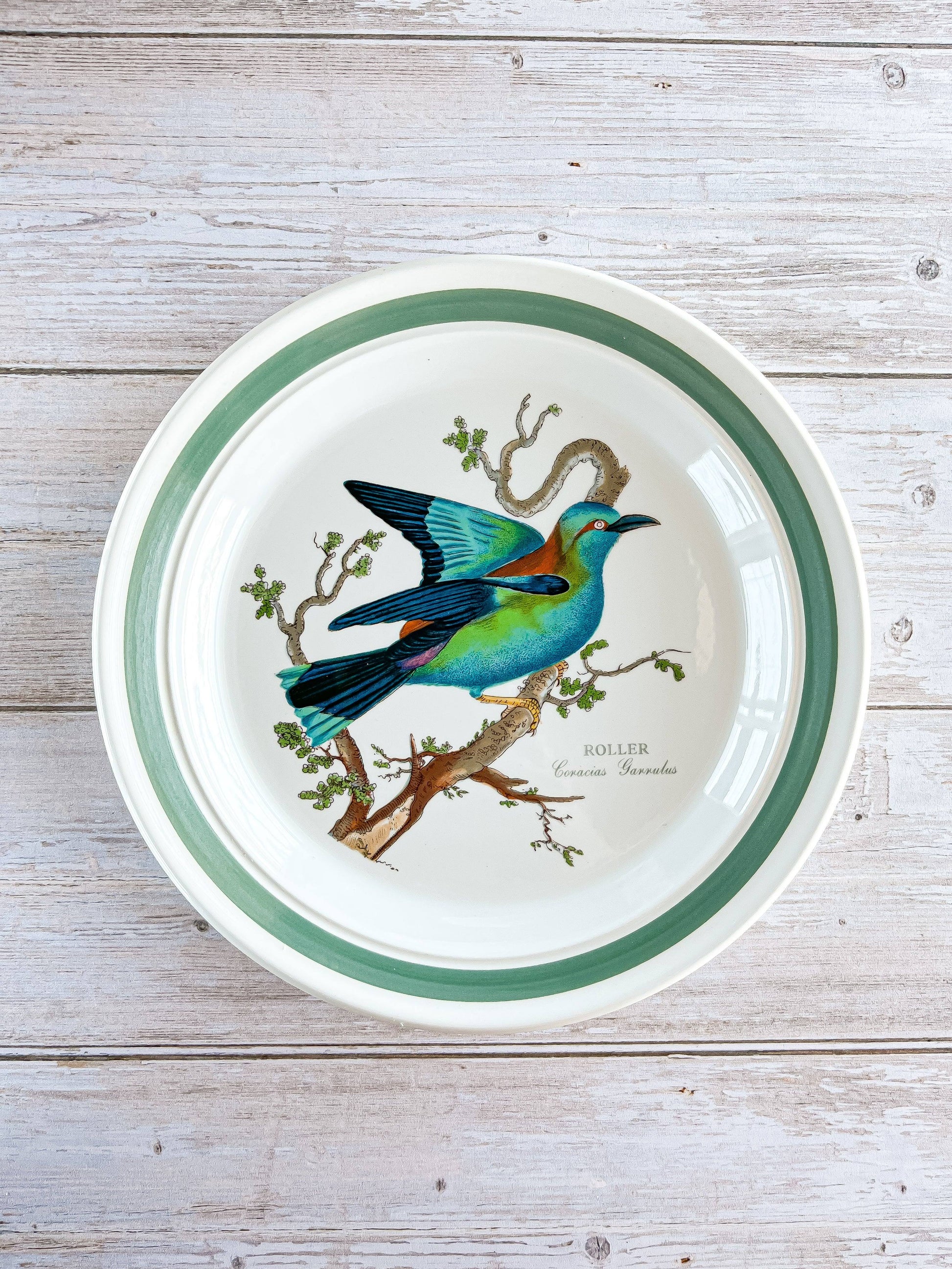 Portmeirion Birds of Britain Salad Plate - 'Roller' Design (Green Band On Rim) - SOSC Home