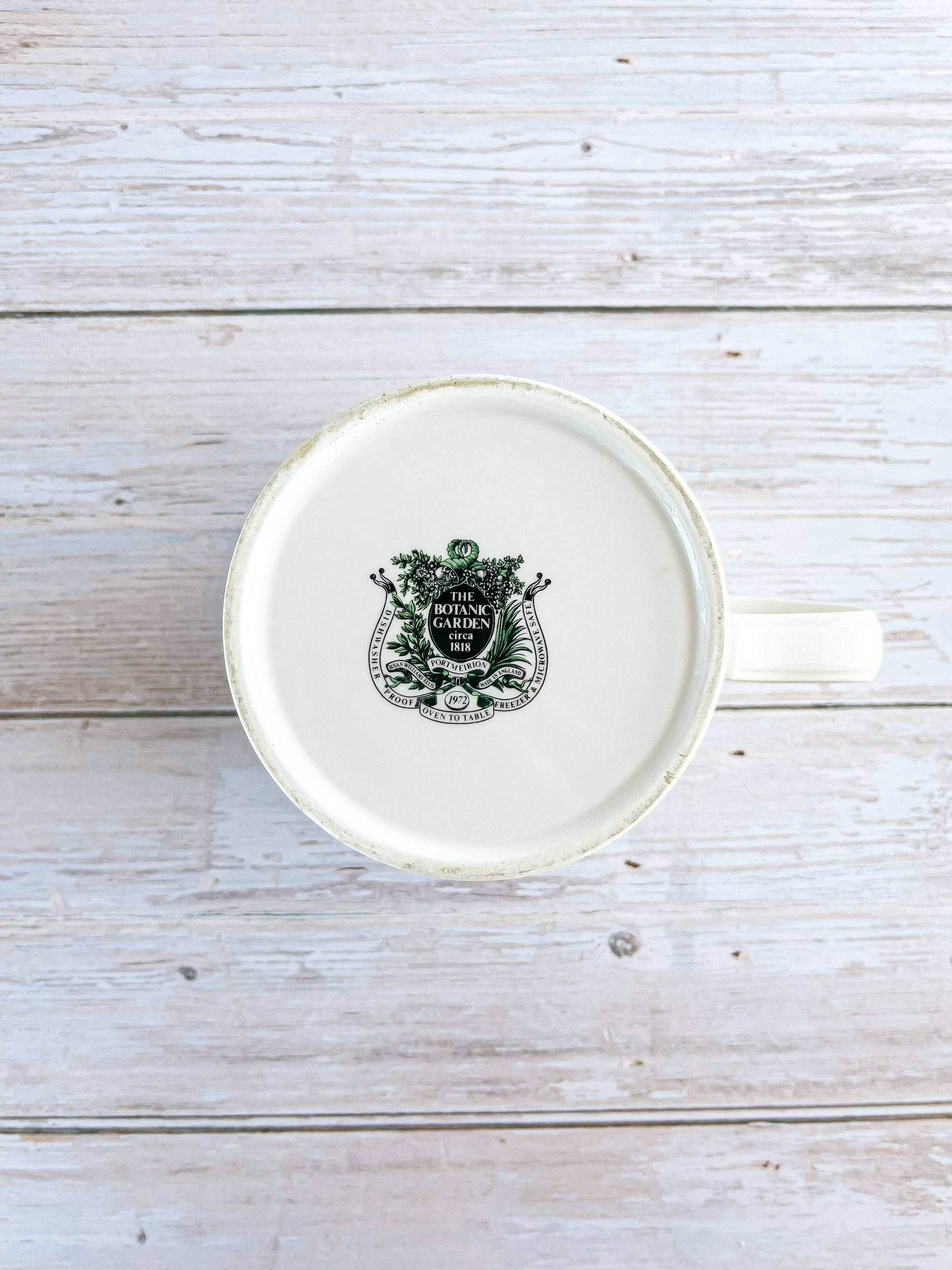 Portmeirion Botanic Garden 350ml Drum Flat Cup and Saucer - 'Lepidotum' Design - SOSC Home