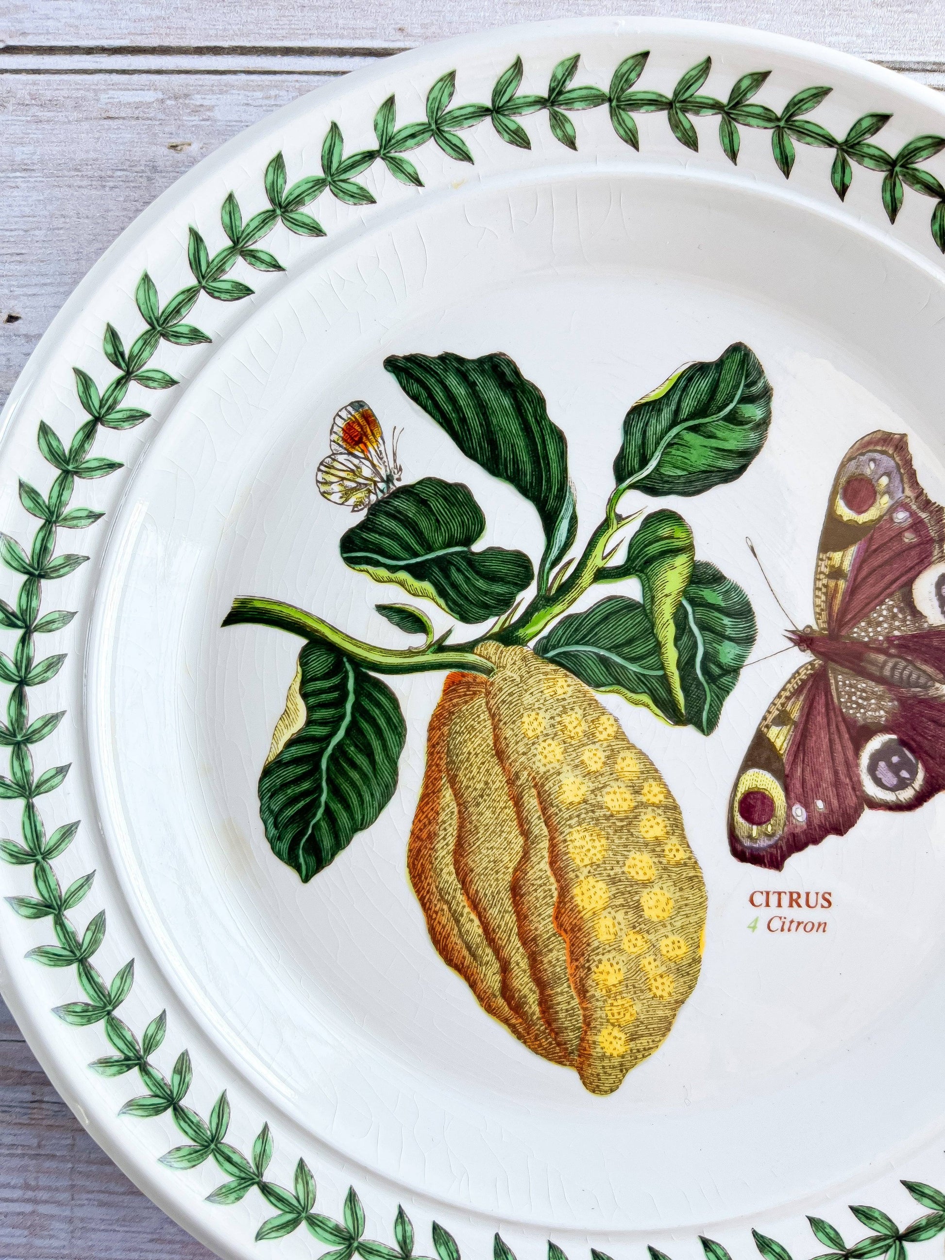 Portmeirion Botanic Garden Bread & Butter Plate - 'Citron' Pattern - SOSC Home
