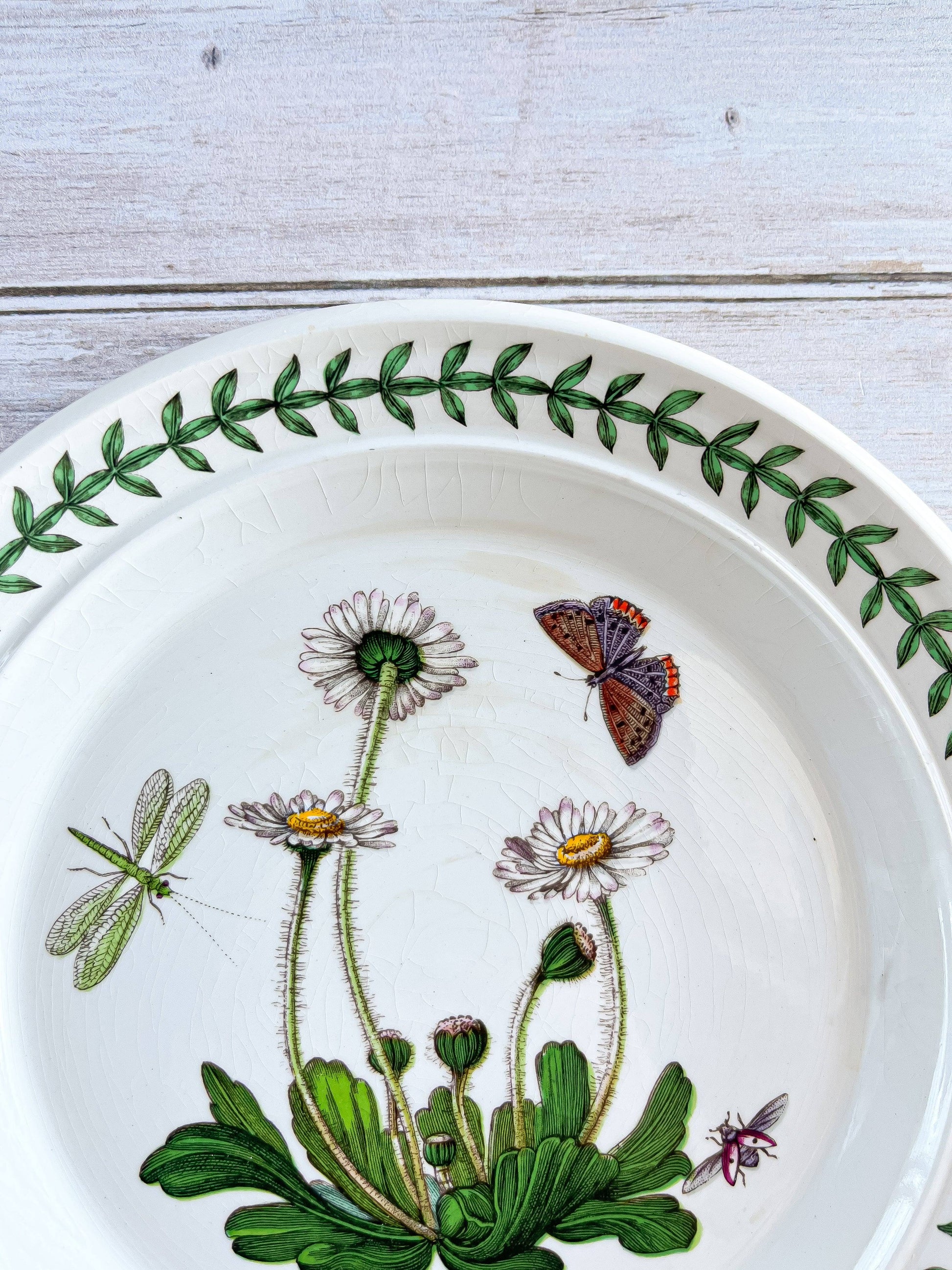 Portmeirion Botanic Garden Bread & Butter Plate - 'Daisy' Pattern - SOSC Home