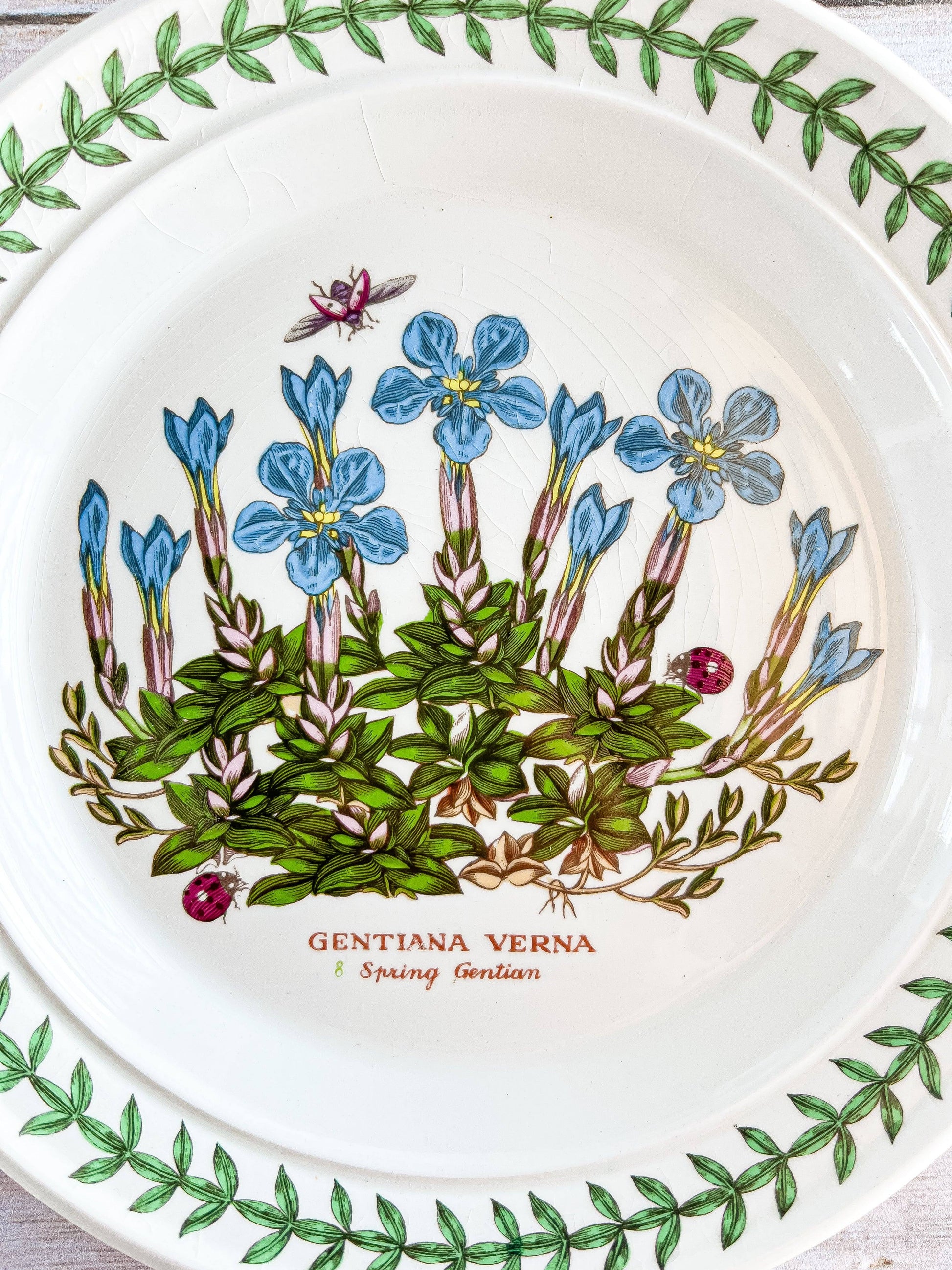 Portmeirion Botanic Garden Bread and Butter Plate - 'Spring Gentian' Design - SOSC Home