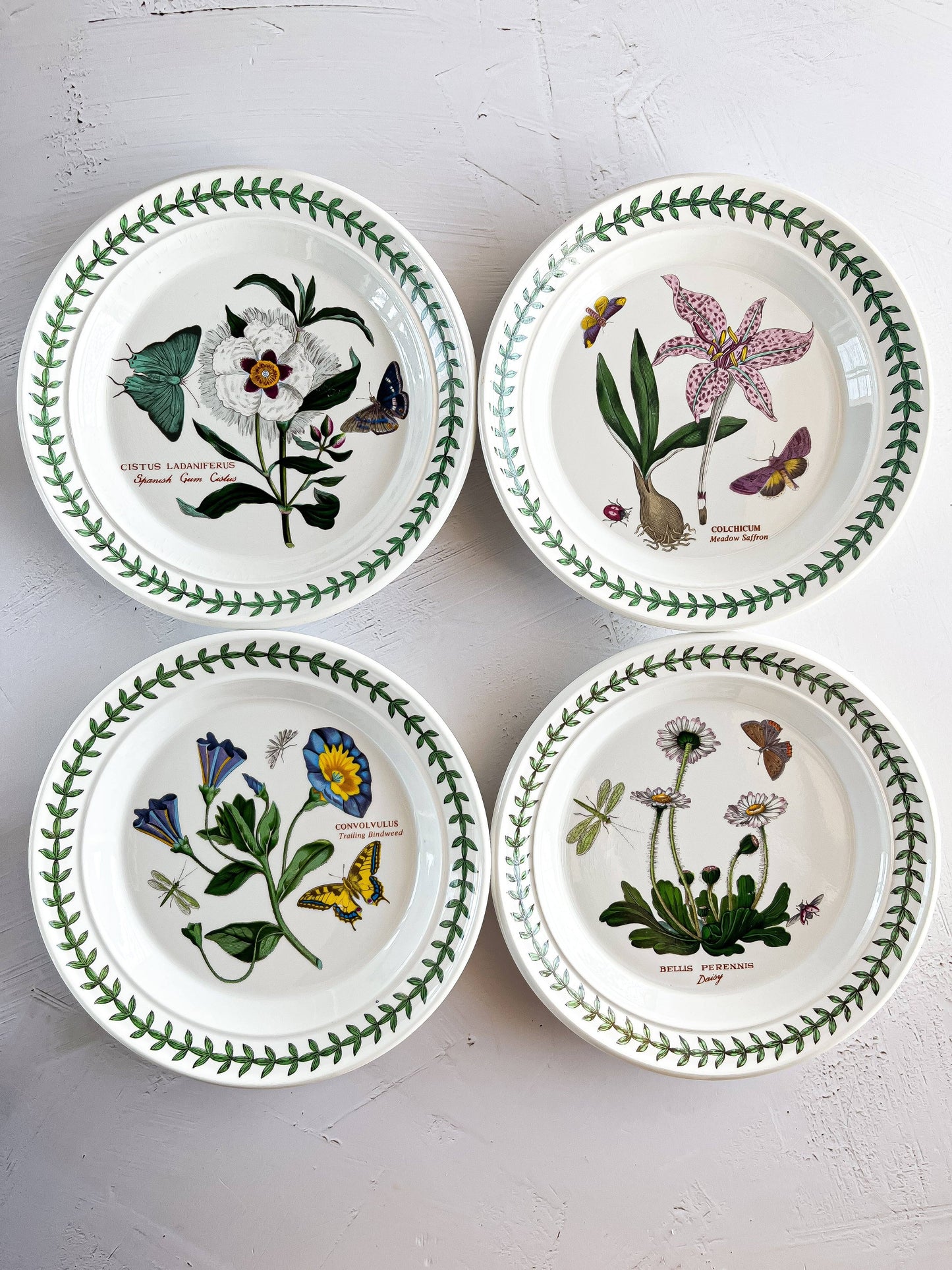 Portmeirion Botanic Garden Bread & Butter Plates - Botanical Varieties - SOSC Home