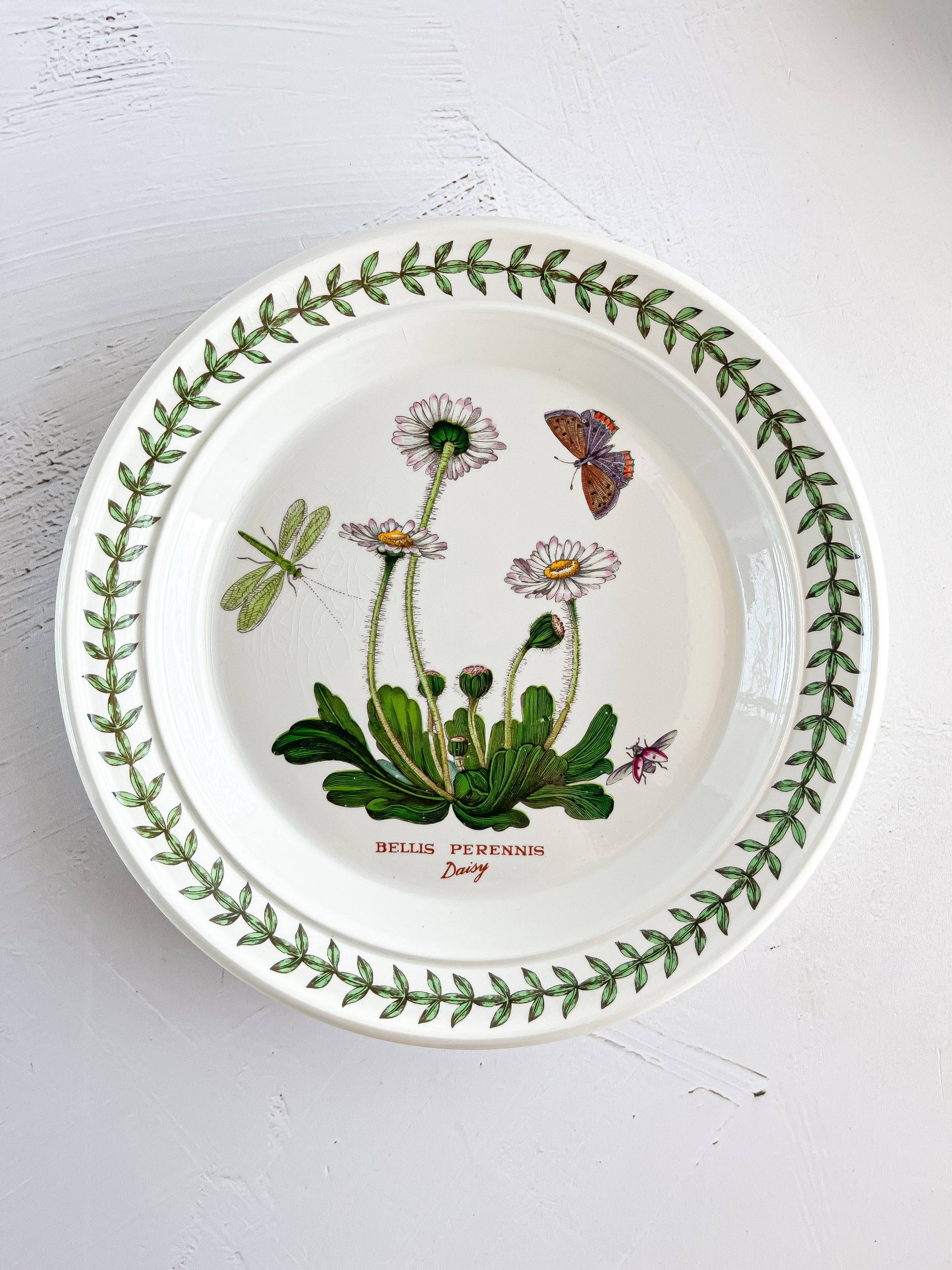 Portmeirion Botanic Garden Bread & Butter Plates - Botanical Varieties - SOSC Home