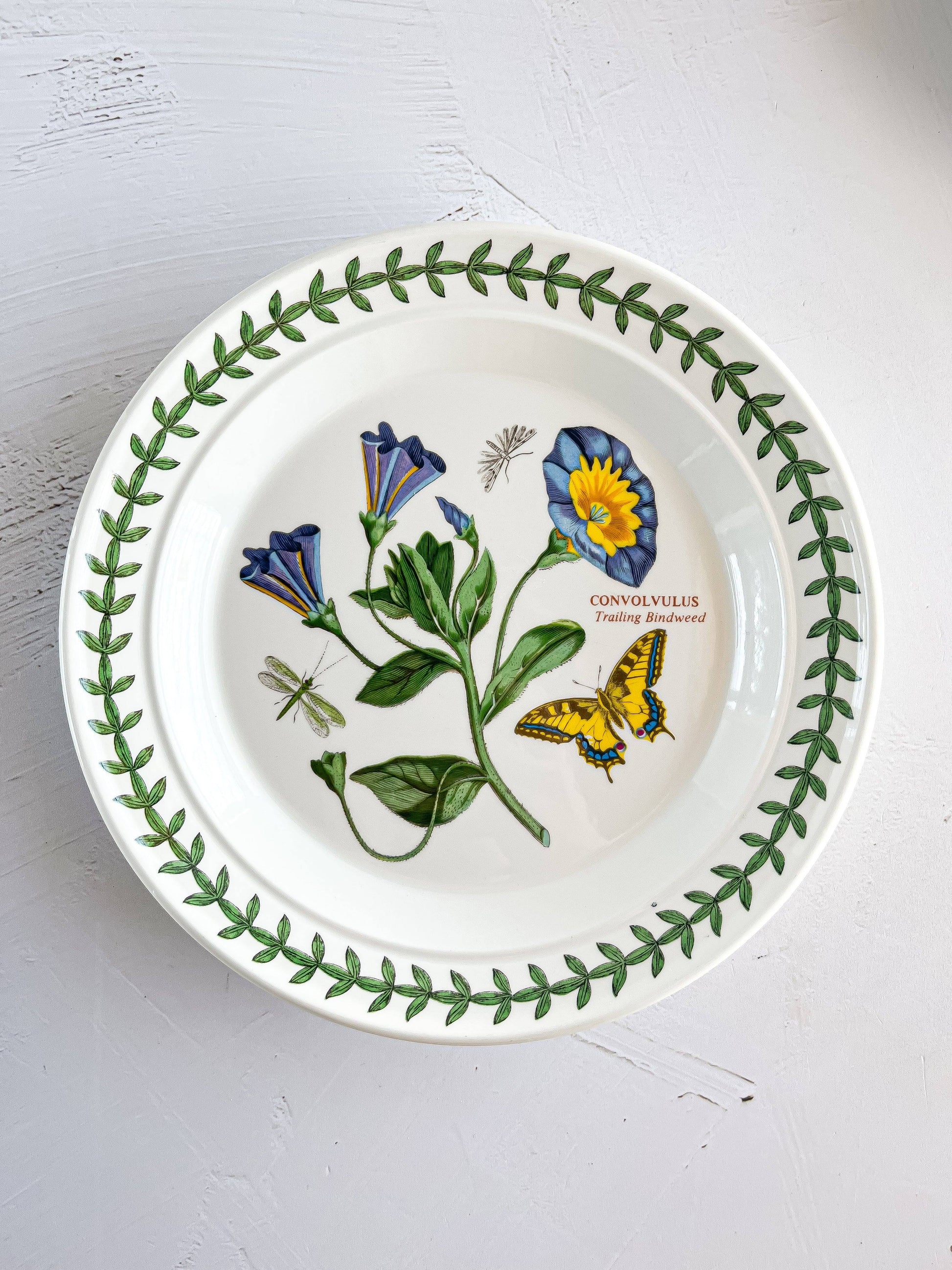 Portmeirion Botanic Garden Bread & Butter Plates - Botanical Varieties - SOSC Home