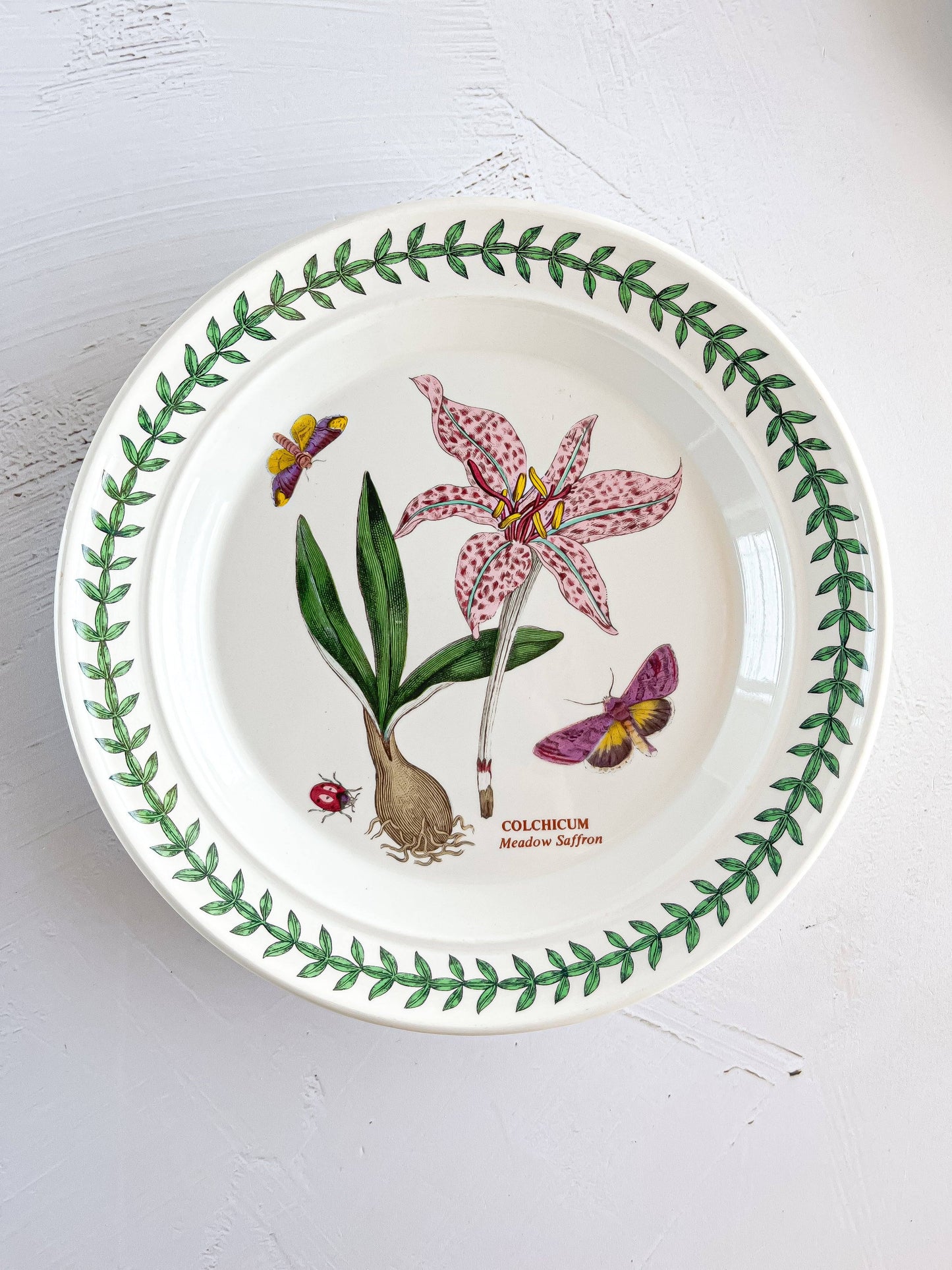 Portmeirion Botanic Garden Bread & Butter Plates - Botanical Varieties - SOSC Home