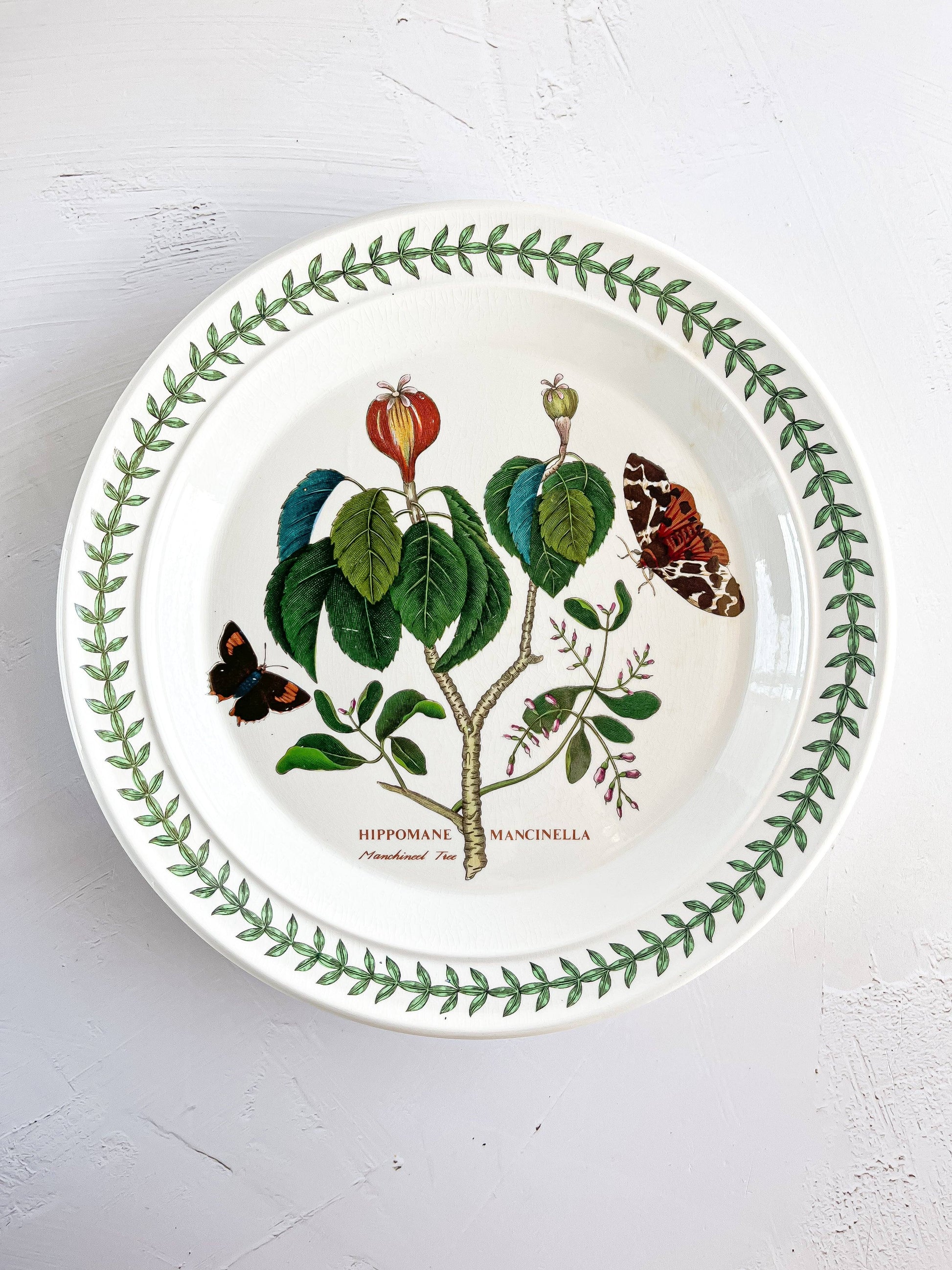 Portmeirion Botanic Garden Dinner Plate - 'Manchineel Tree’ Design - SOSC Home