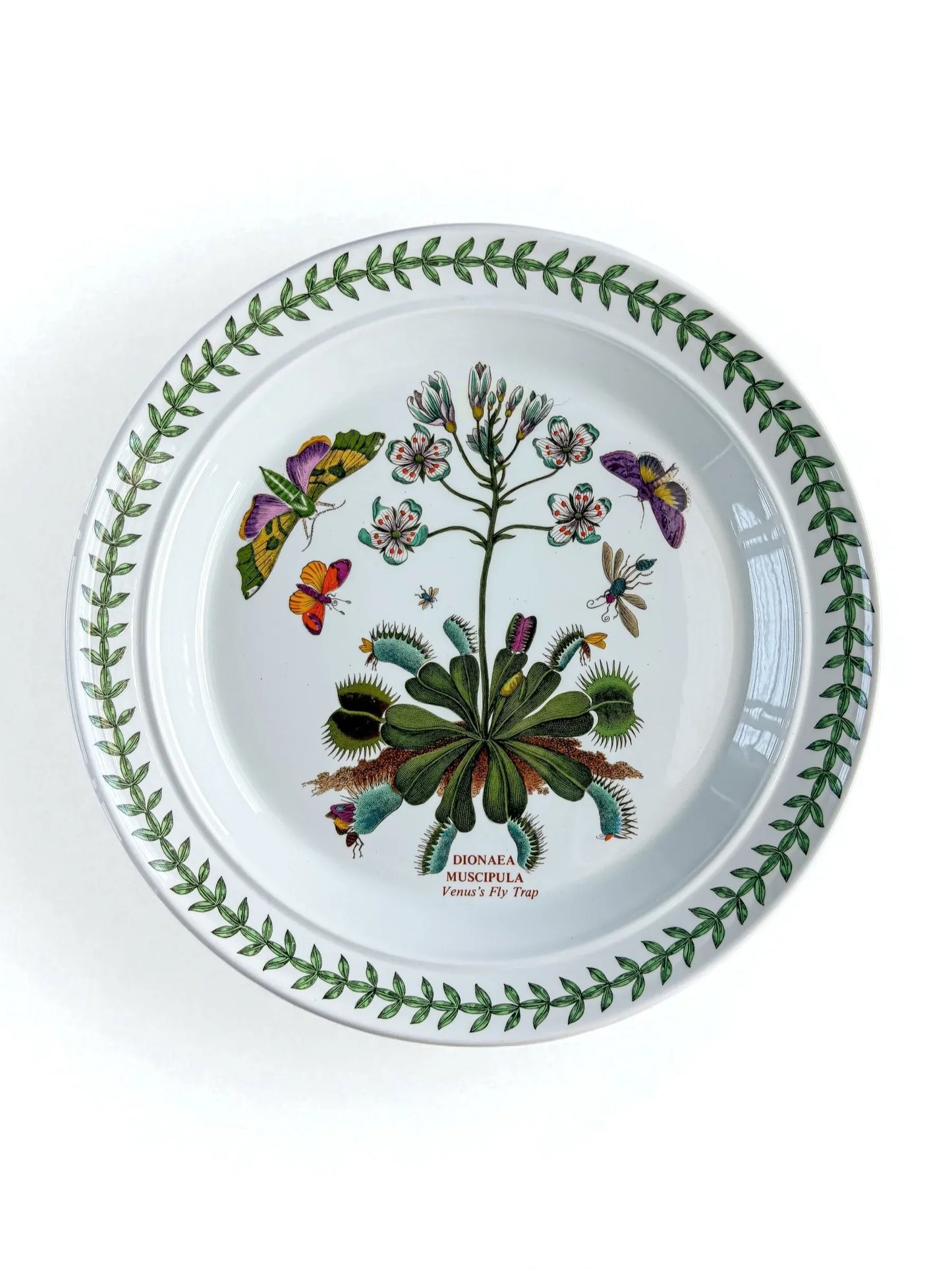 Portmeirion Botanic Garden Dinner Plate | 'Venus’s Fly Trap’ Design - SOSC Home