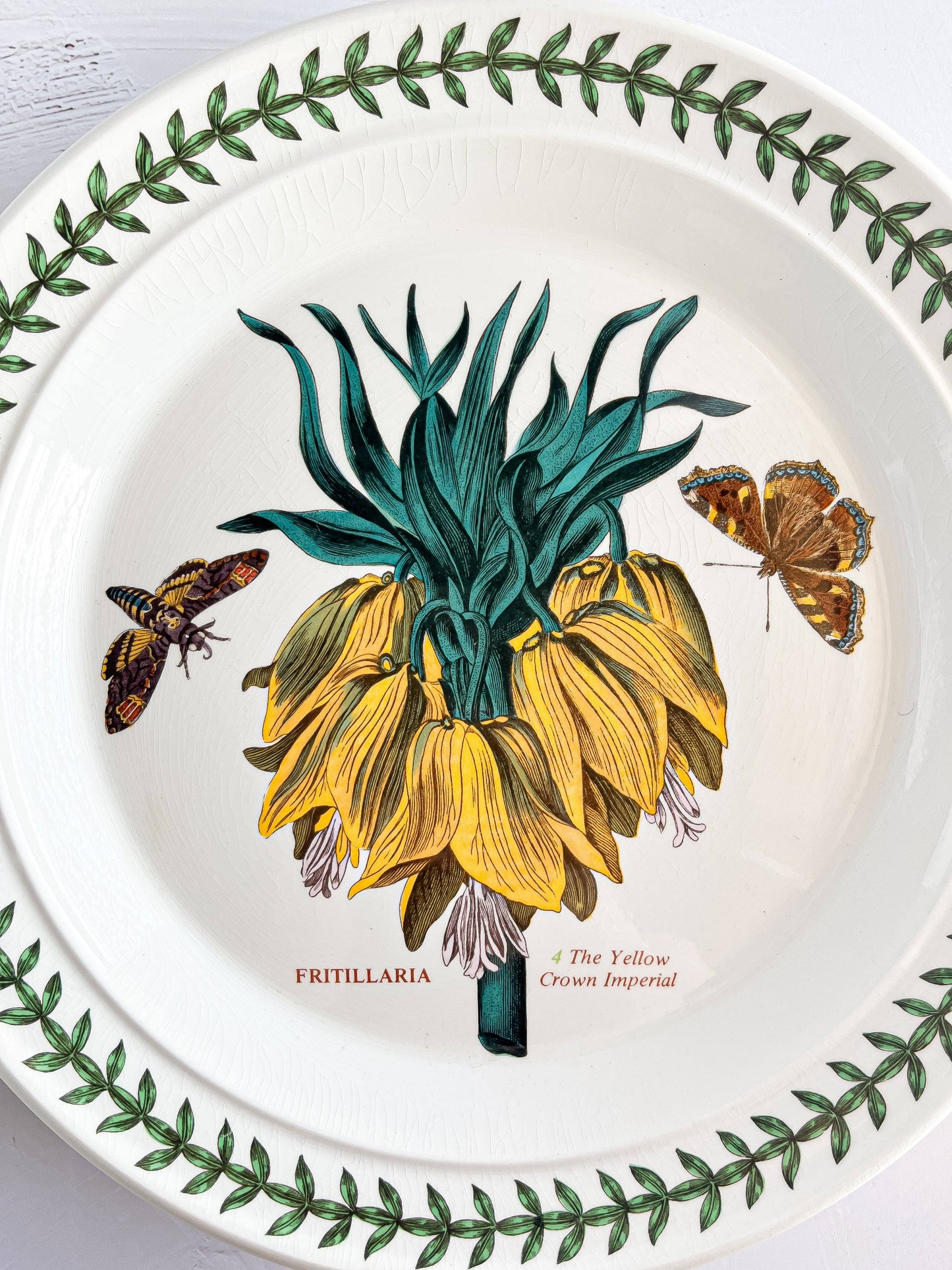 Portmeirion Botanic Garden Dinner Plate - ‘The Yellow Crown Imperial’ Design - SOSC Home