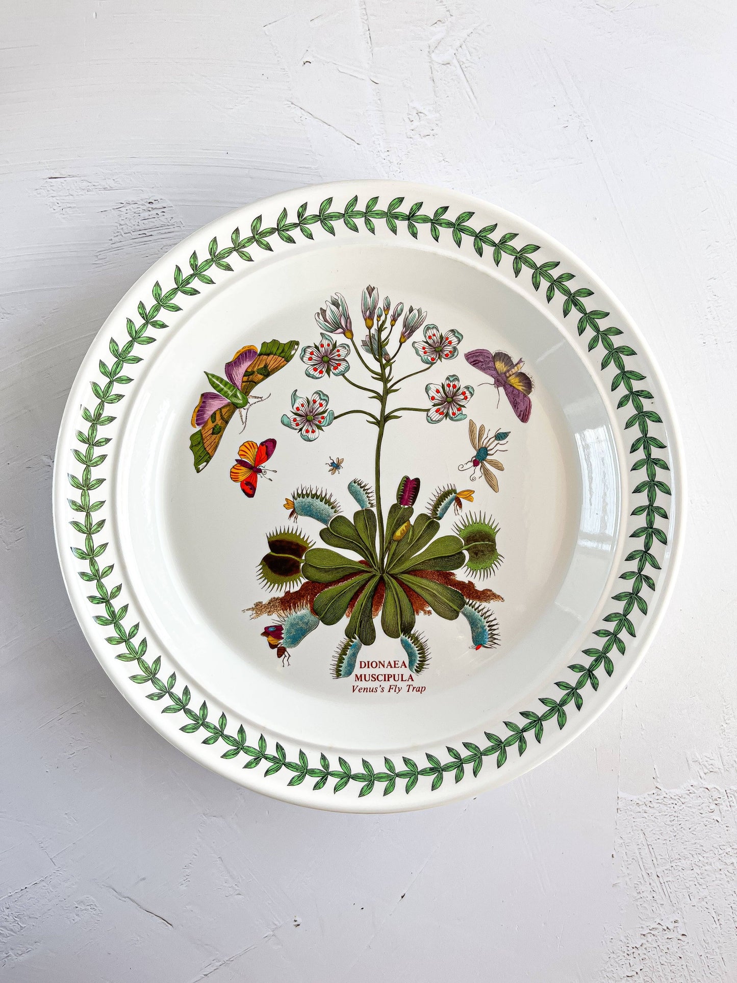 Portmeirion Botanic Garden Dinner Plate - 'Venus’s Fly Trap’ Design - SOSC Home