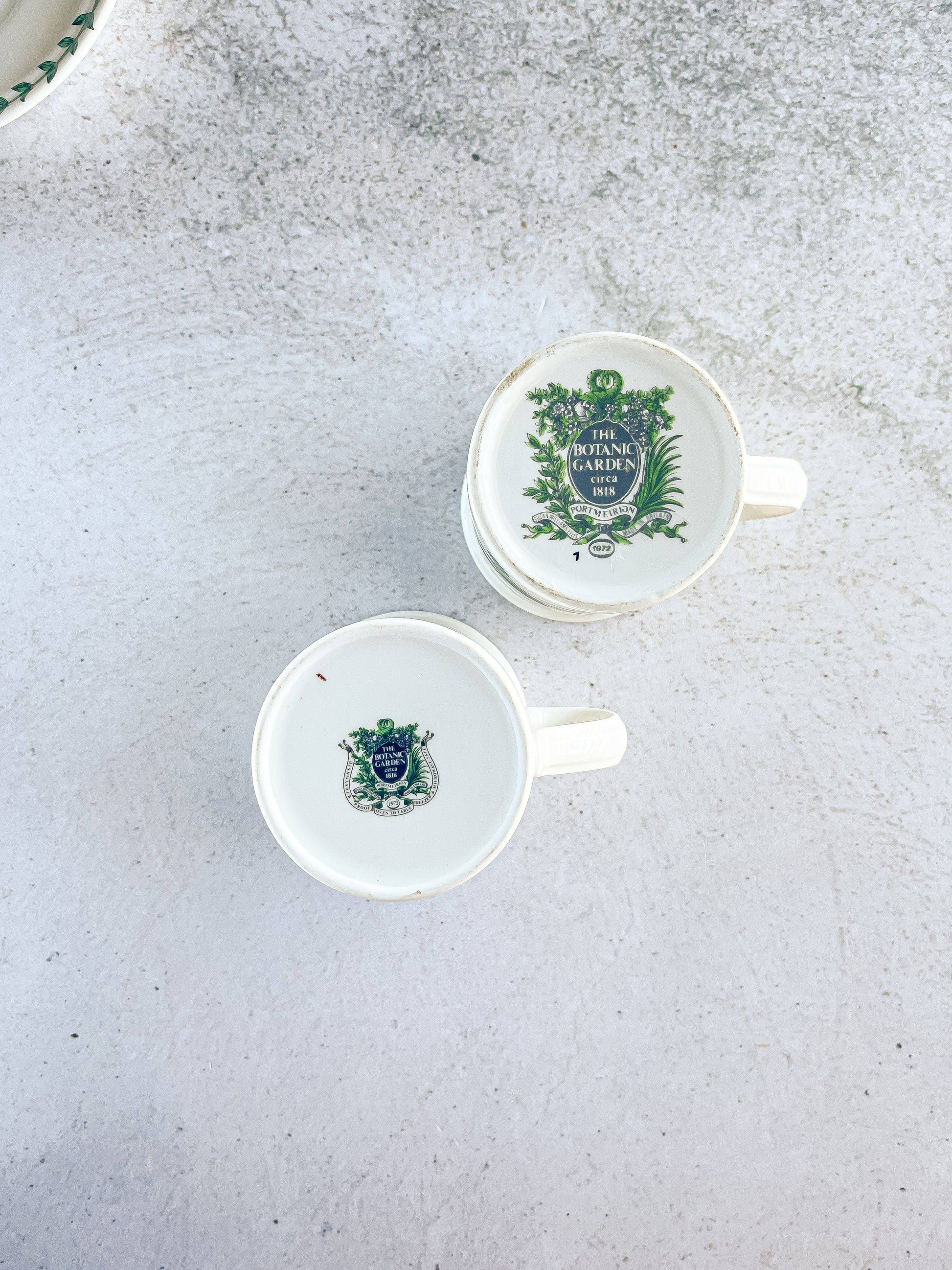 Portmeirion Botanic Garden Flat Demitasse Cup & Saucer Set - ‘Speedwell’ Design - SOSC Home