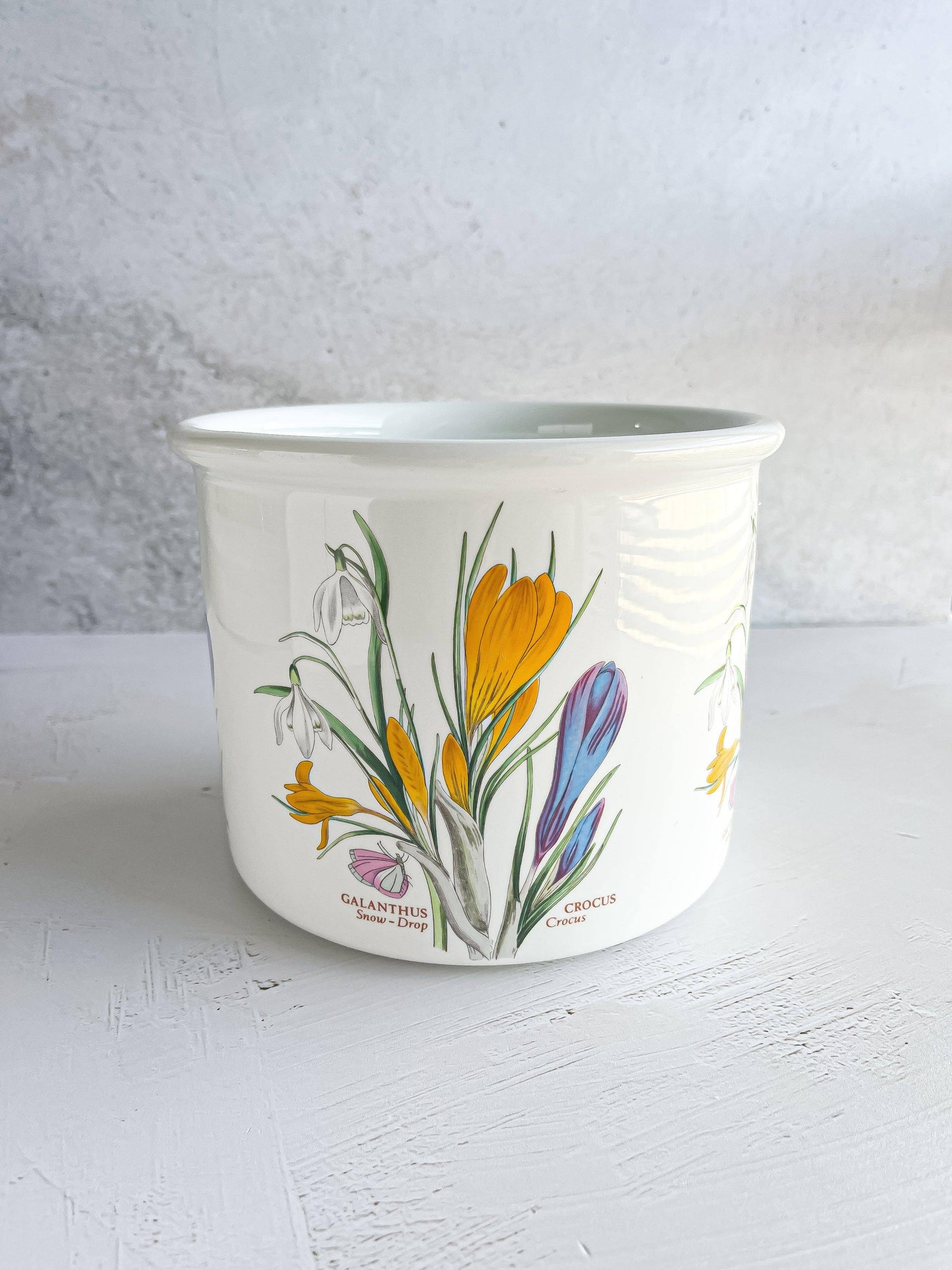 Portmeirion Botanic Garden Planter & Serif Vase - Galanthus & Crocus - SOSC Home