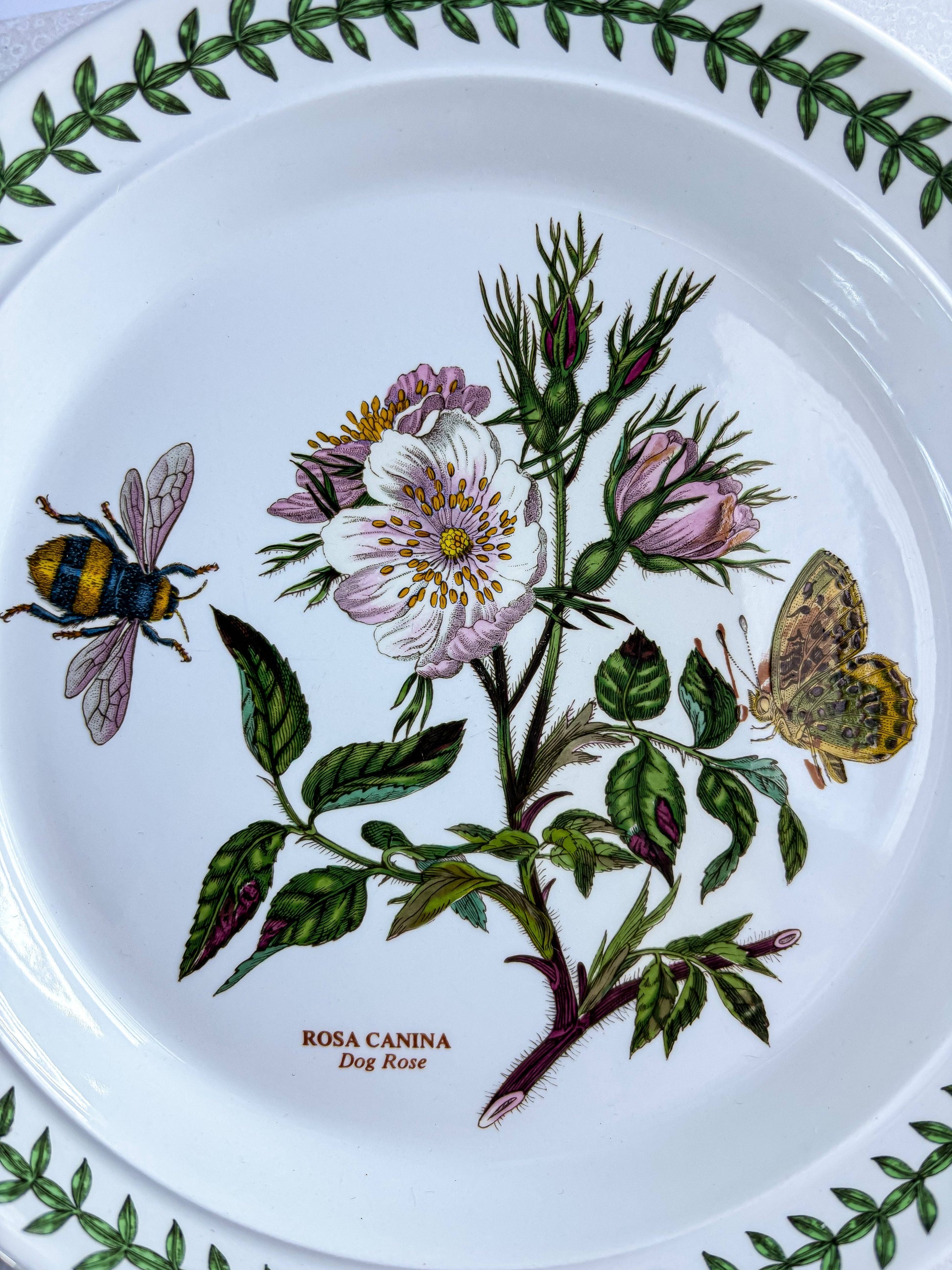 Close-up of the Rosa Canina flower and bumblebee detail on a Portmeirion earthenware plate.