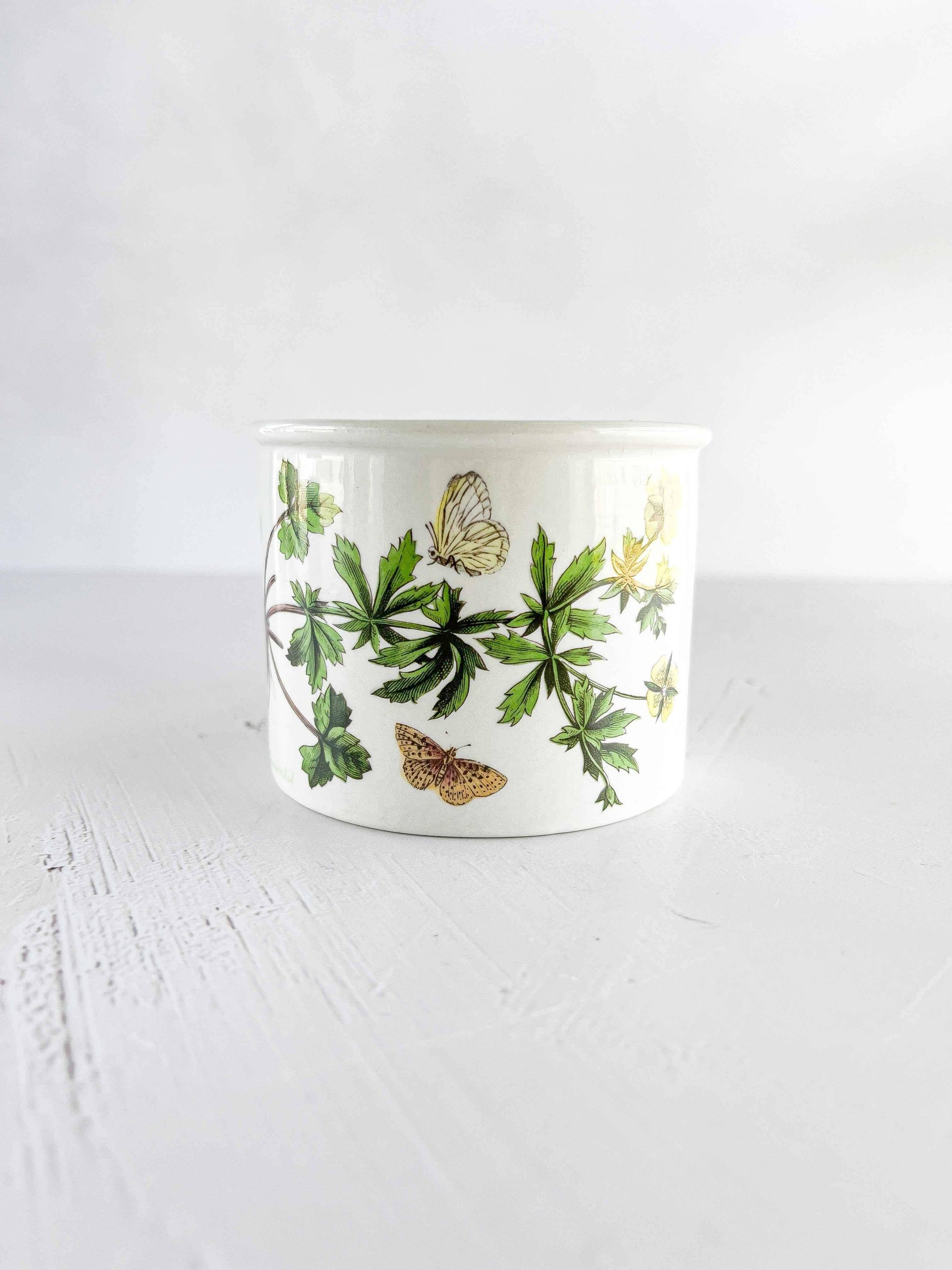 portmeirion plant pot Portmeirion Botanic Garden Small Ramekin Vintage