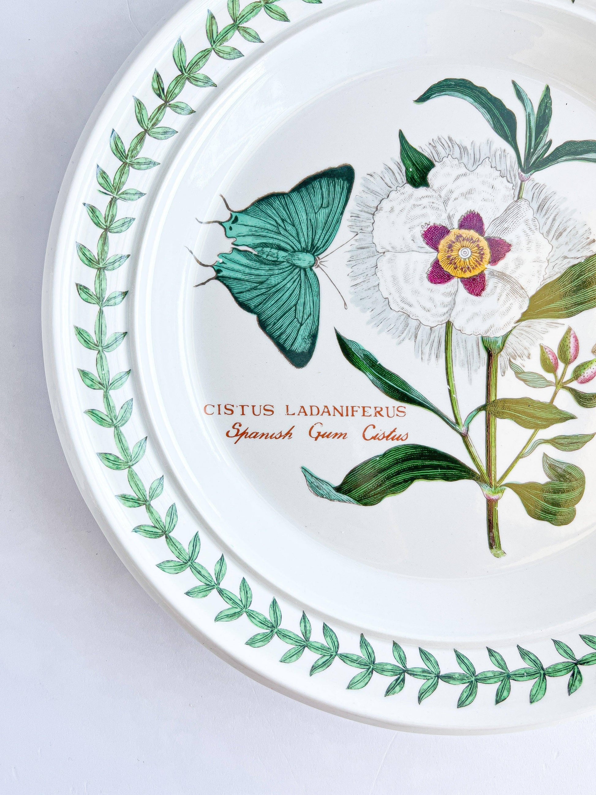 Portmeirion Botanic Garden Vintage Bread & Butter Plate - Spanish Gum Cistus - SOSC Home