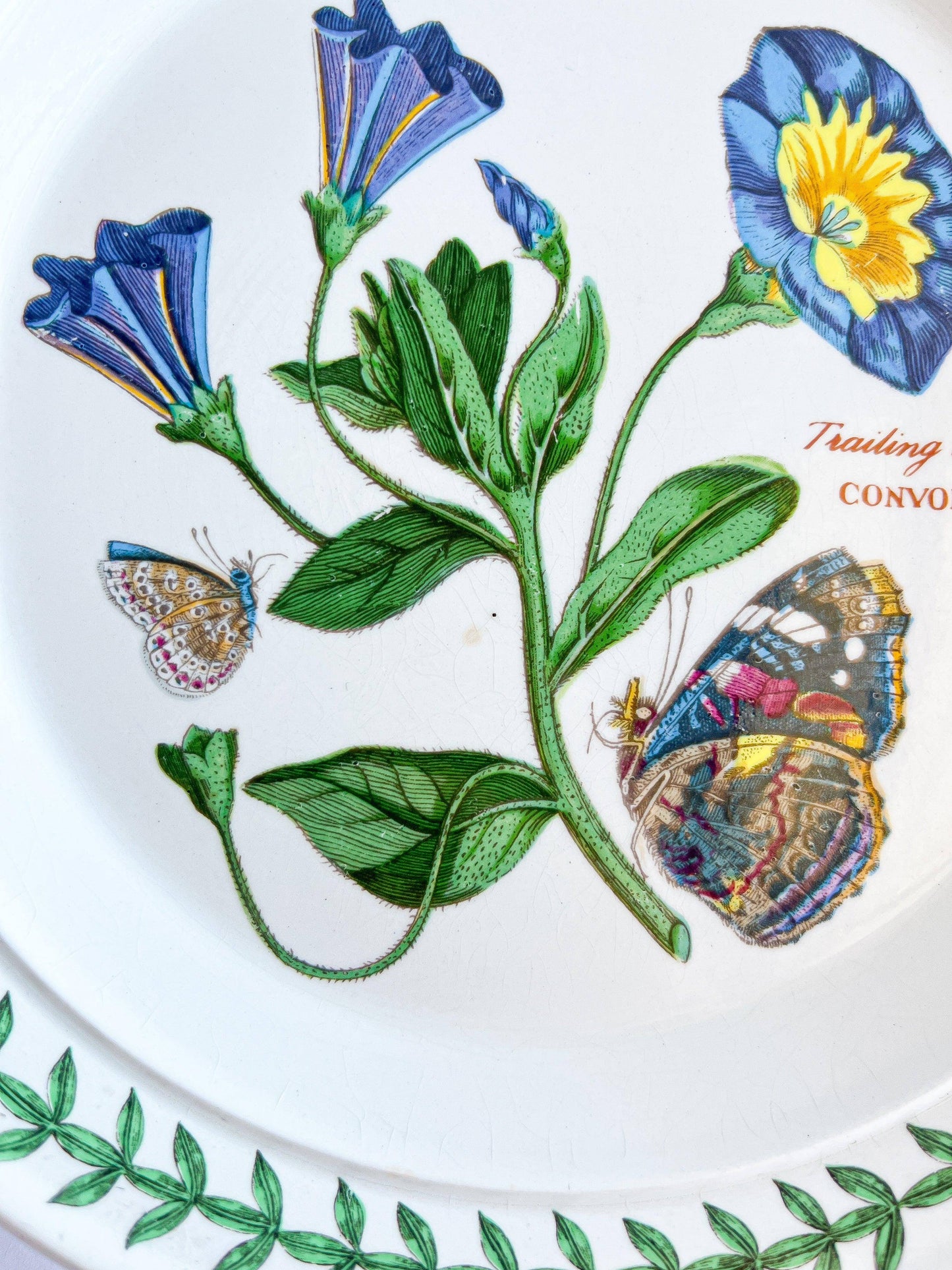 Portmeirion Botanic Garden Vintage Bread & Butter Plate - Trailing Bindweed - SOSC Home