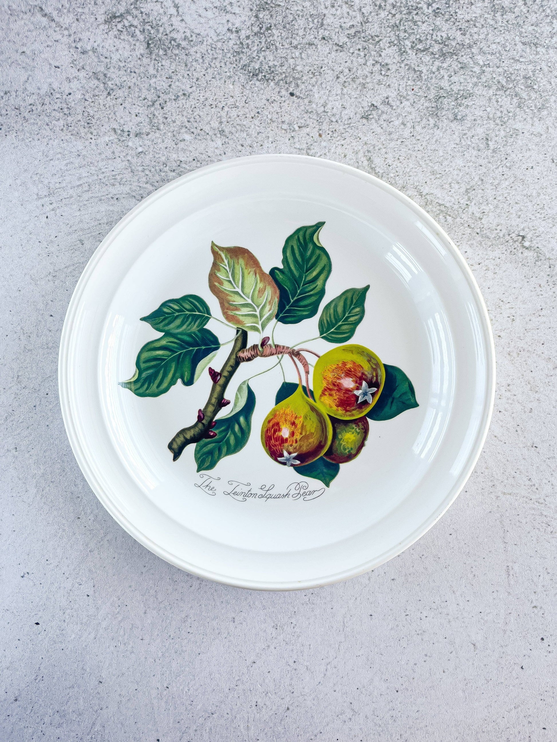 Portmeirion Pomona Bread and Butter Plate - ‘The Leinton Squash Pear’ Design - SOSC Home