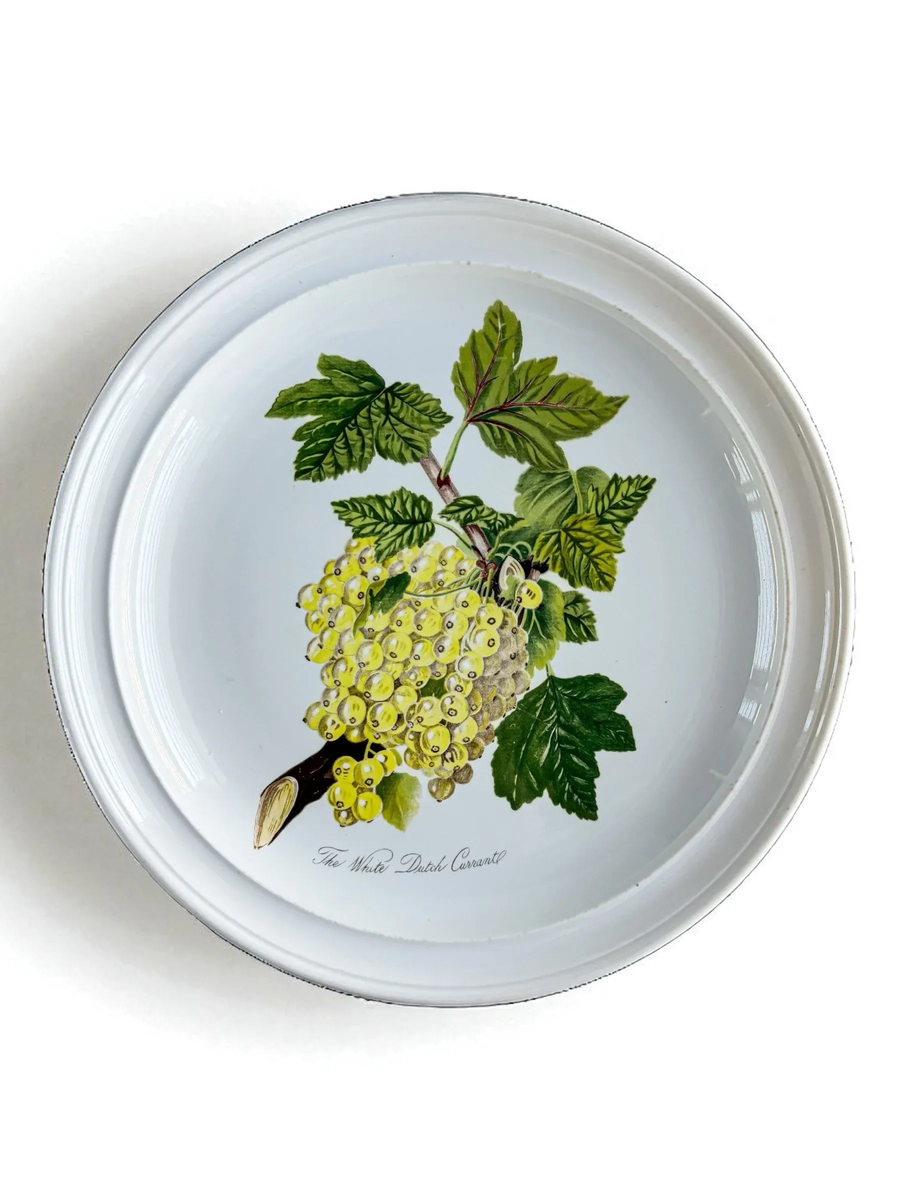 Portmeirion Pomona Dinner Plate | ‘The White Dutch Currant’ Design - SOSC Home