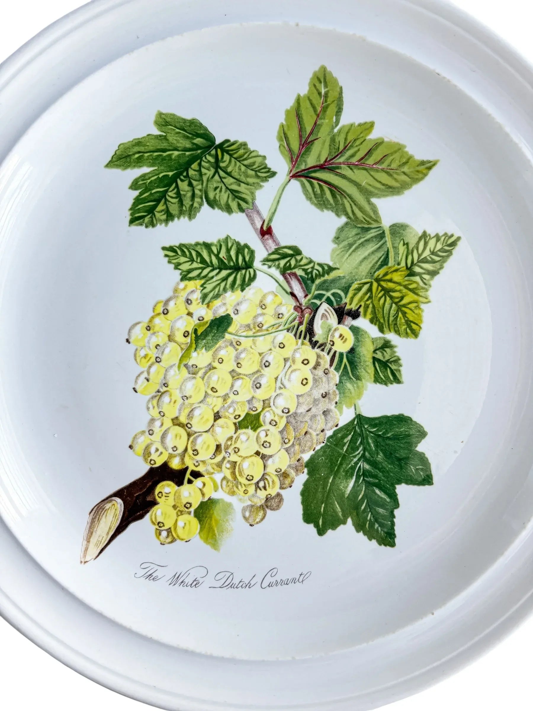 Portmeirion Pomona Dinner Plate | ‘The White Dutch Currant’ Design - SOSC Home