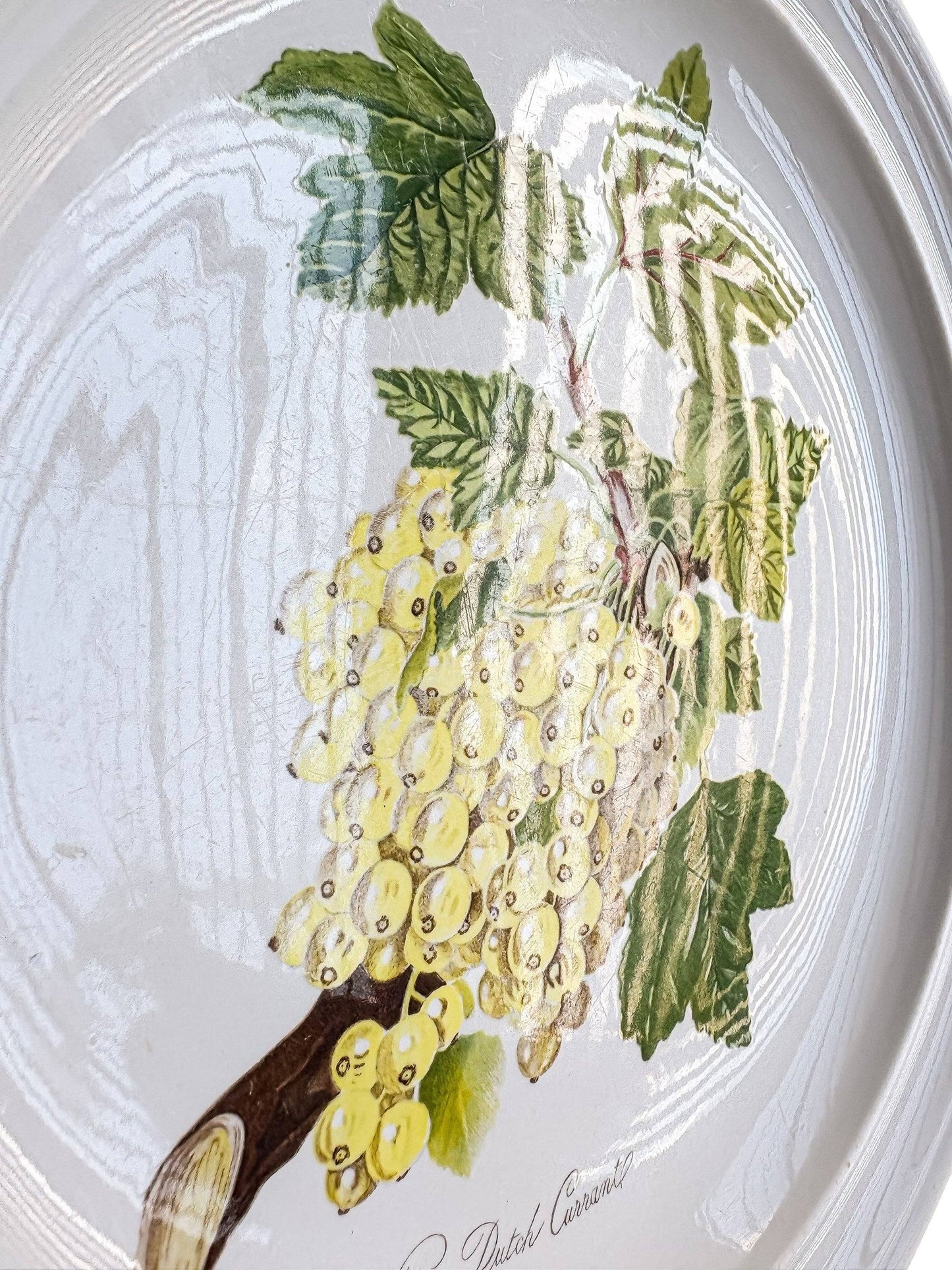 Portmeirion Pomona Dinner Plate | ‘The White Dutch Currant’ Design - SOSC Home