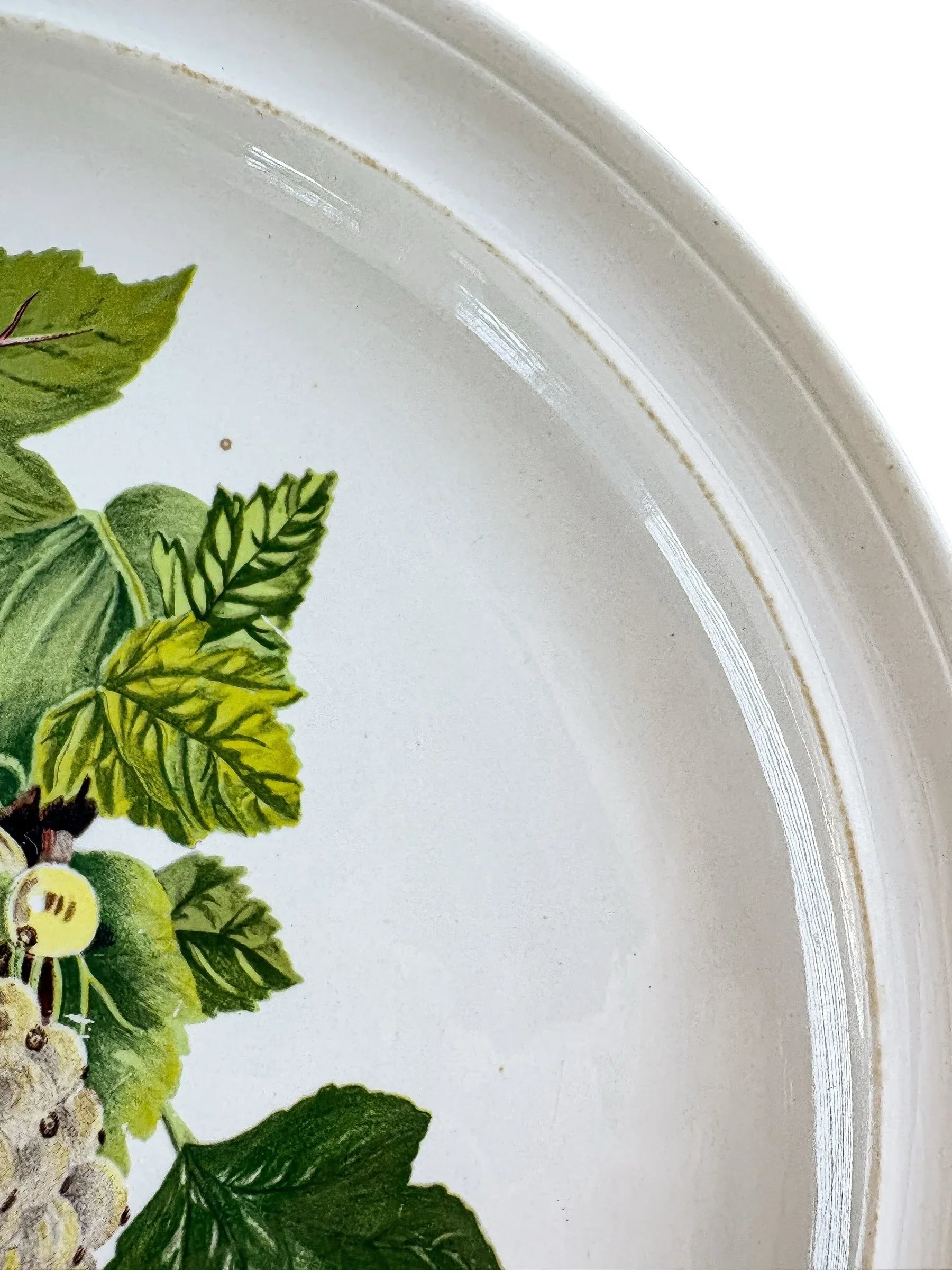 Portmeirion Pomona Dinner Plate | ‘The White Dutch Currant’ Design - SOSC Home